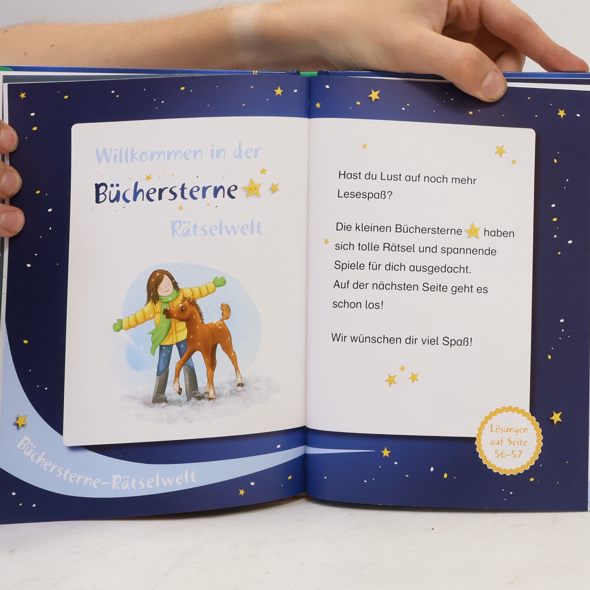 Ursel Scheffler Paula auf dem Ponyhof - das kleine Weihnachtspony