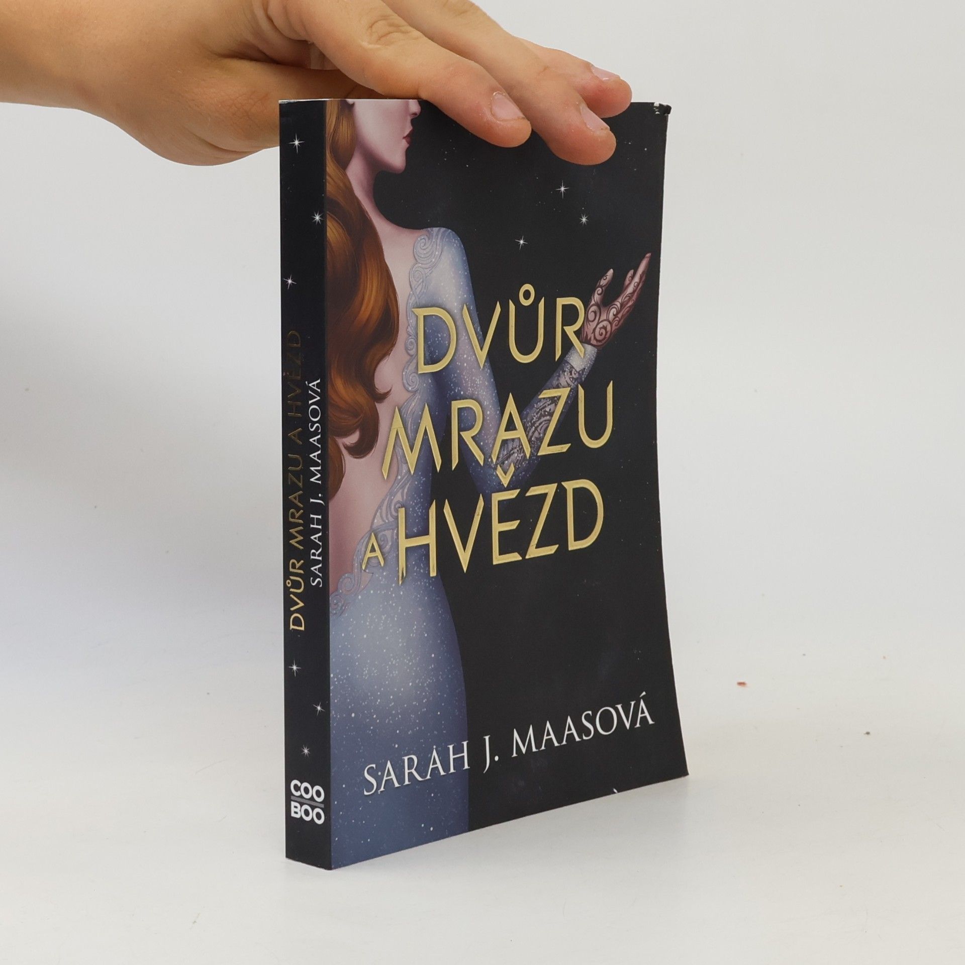 Sarah J. Maasová Dvůr mrazu a hvězd