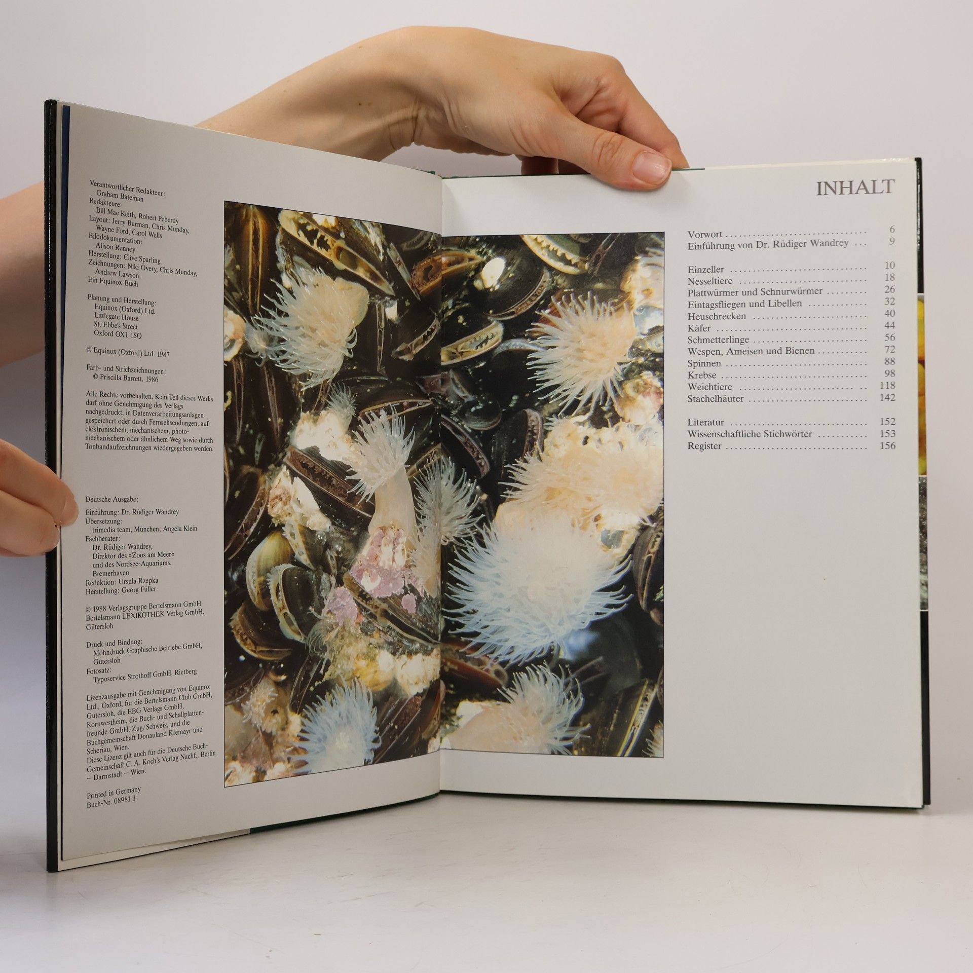Various authors Die Tiere unserer Welt Band 10. Insekten und andere Wirbellose