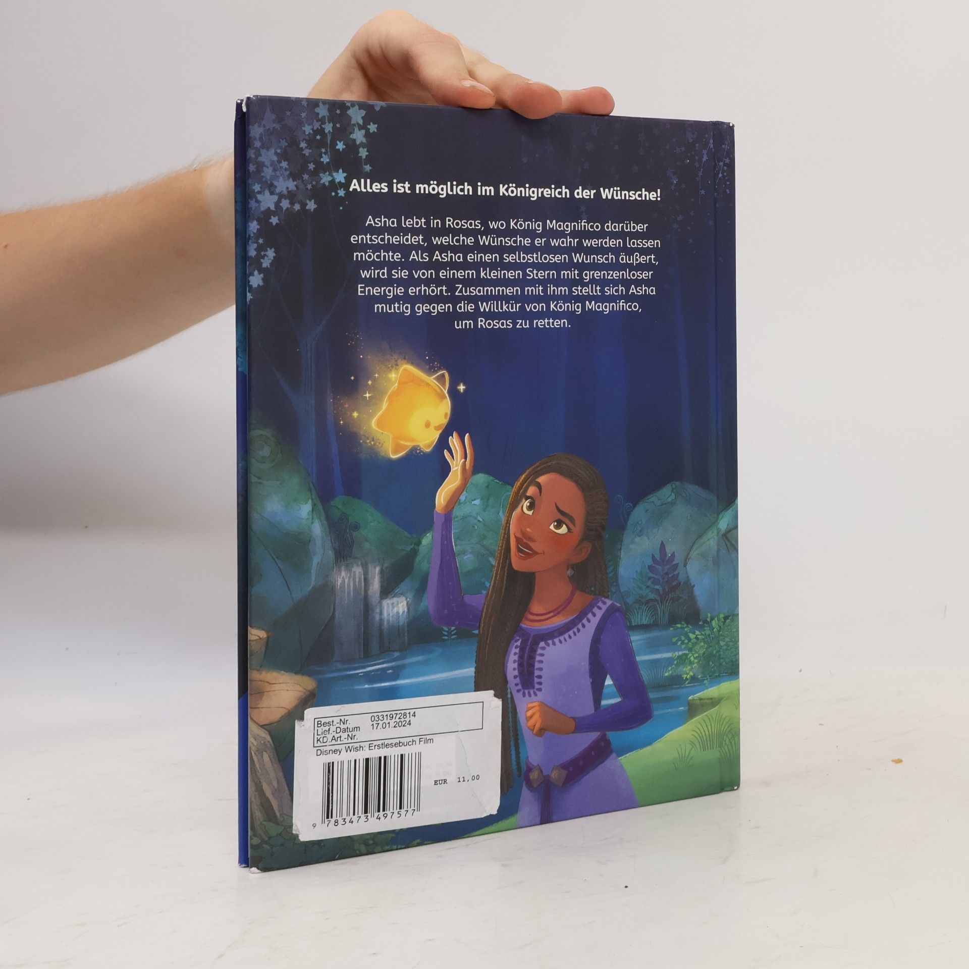 Walt Disney Disney Wish: Das Erstlesebuch zum Film