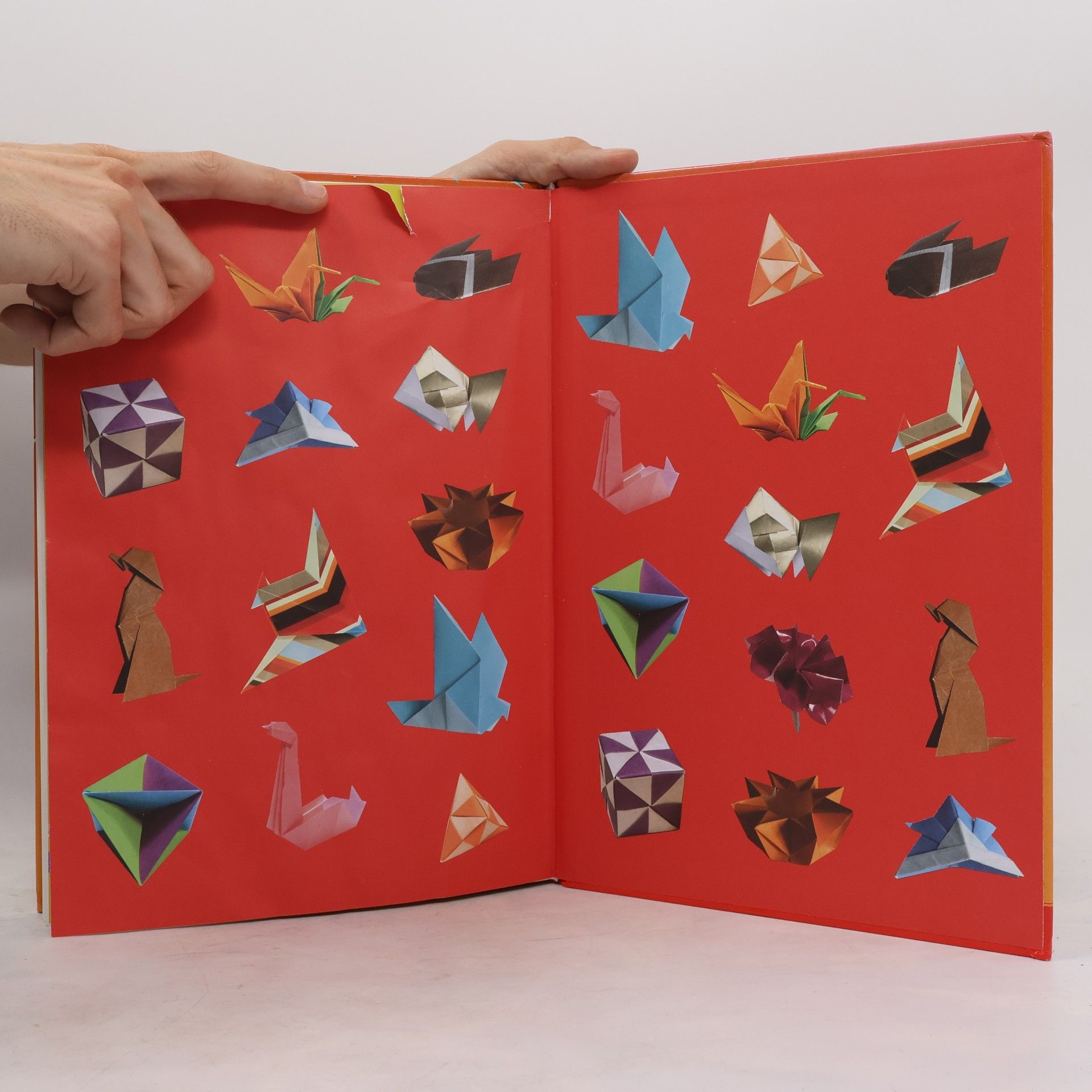 Míša Bubíková Origami