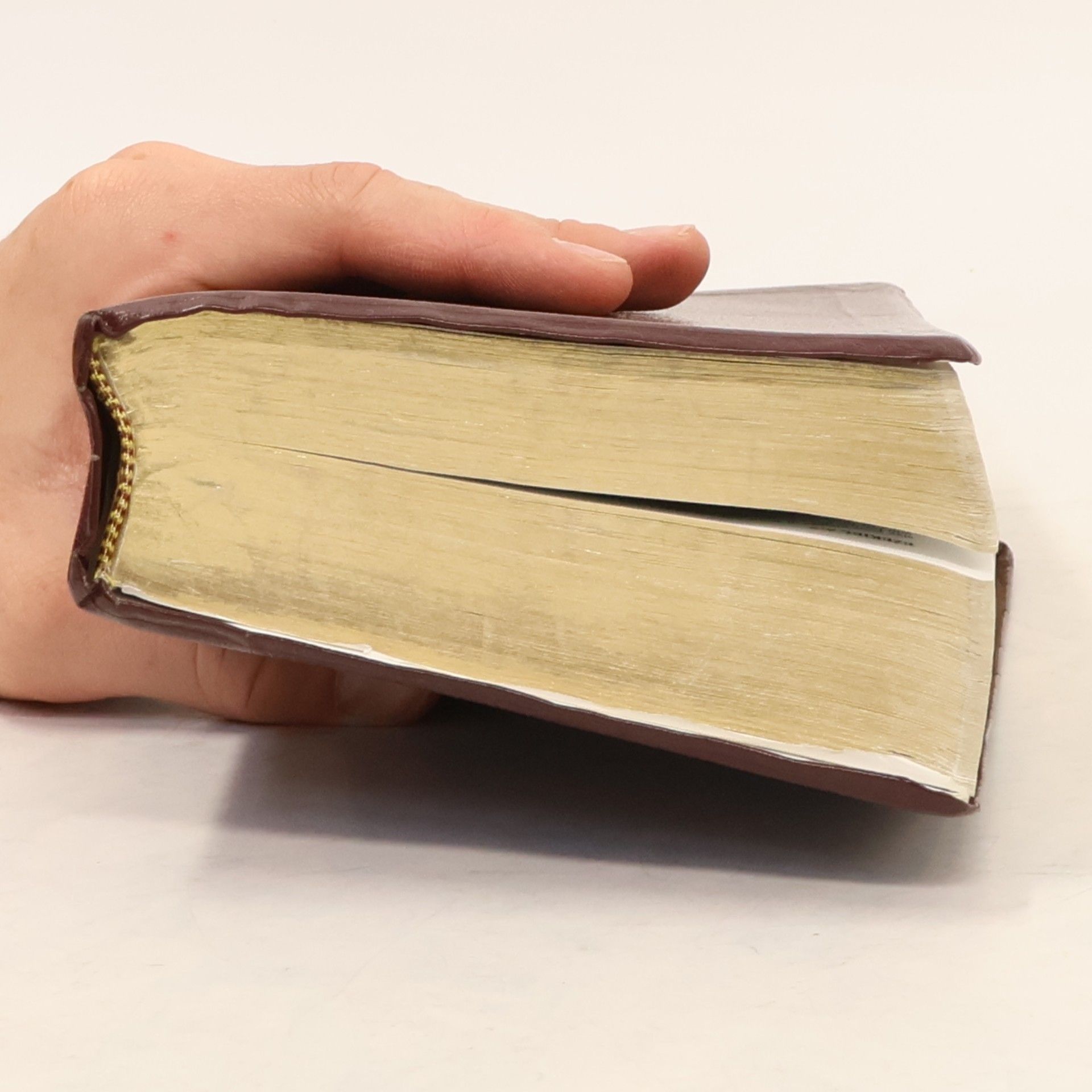 Holy Bible