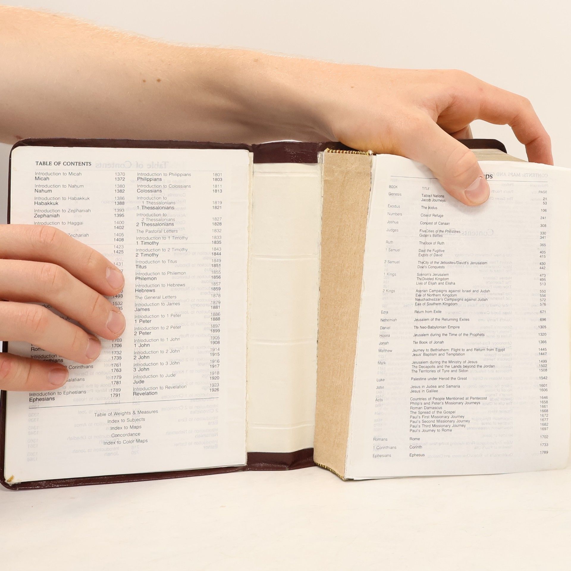 Holy Bible