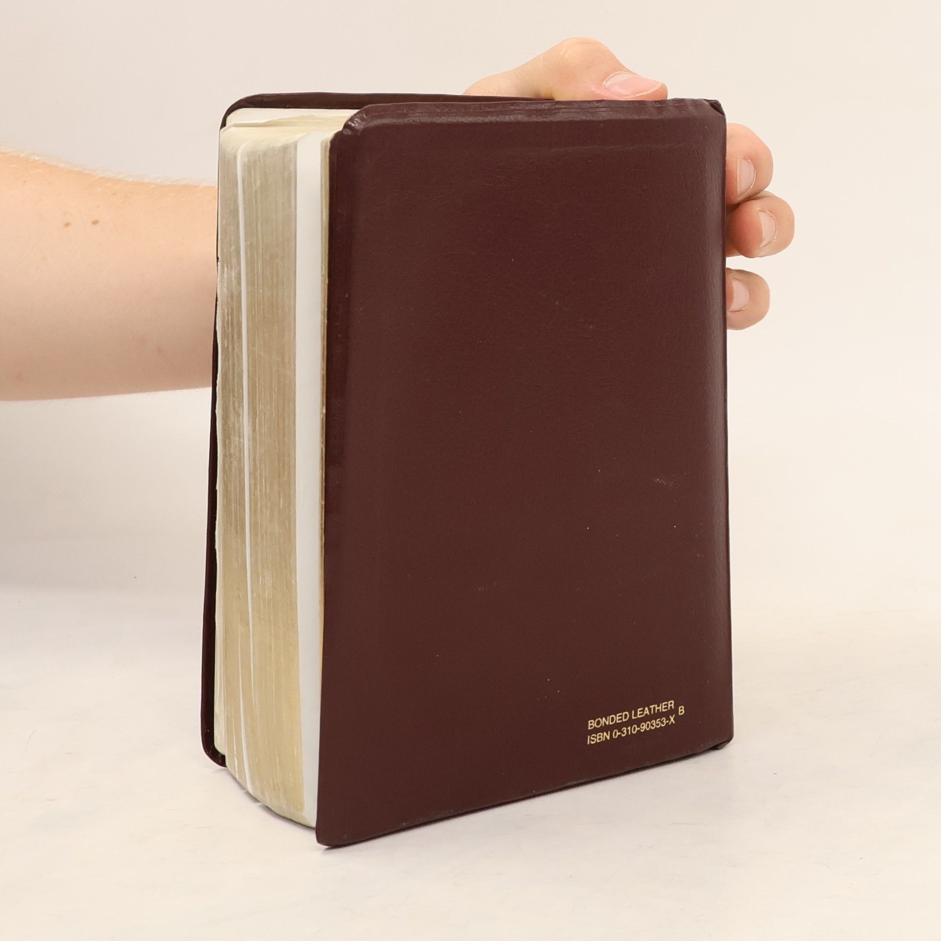 Holy Bible