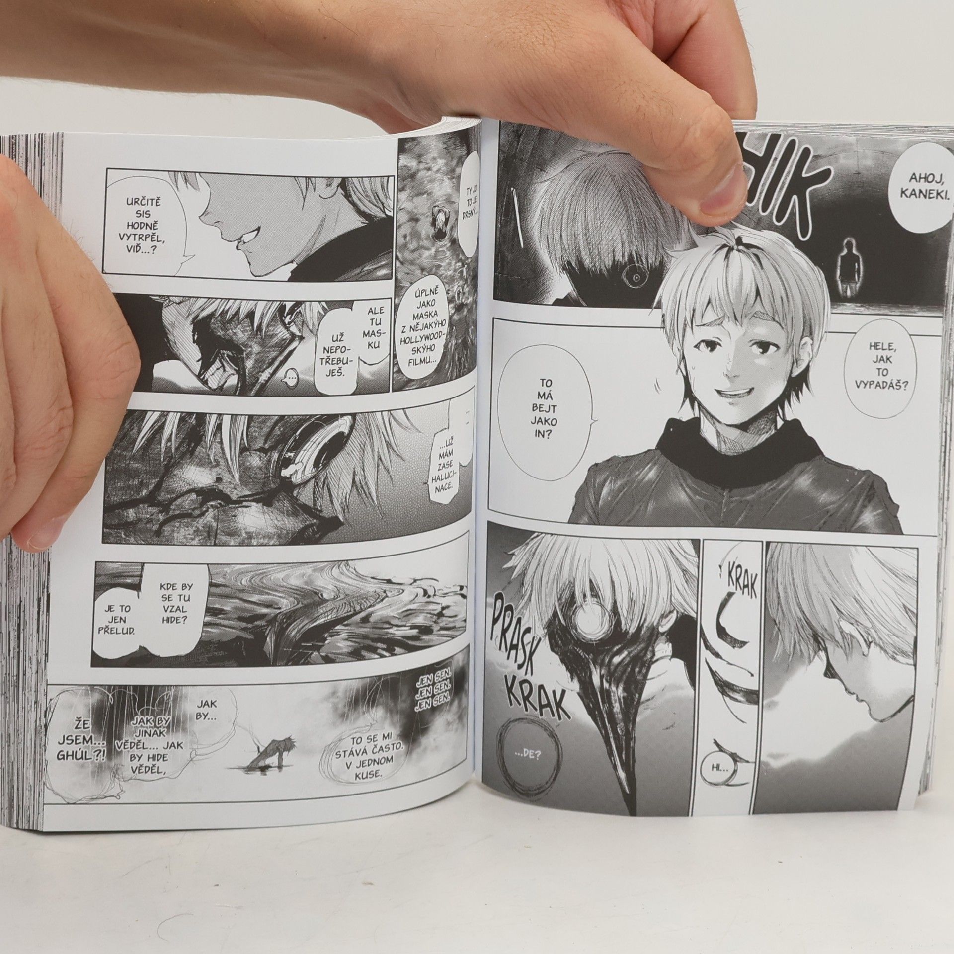Sui Ishida Tokijský ghúl 14