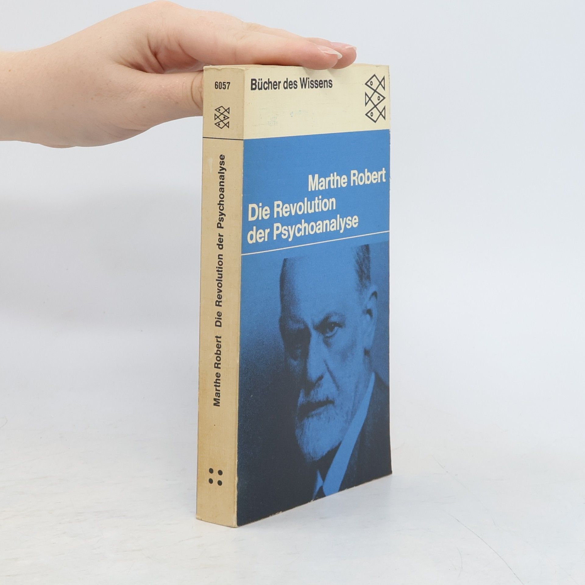 Die Revolution der Psychoanalyse