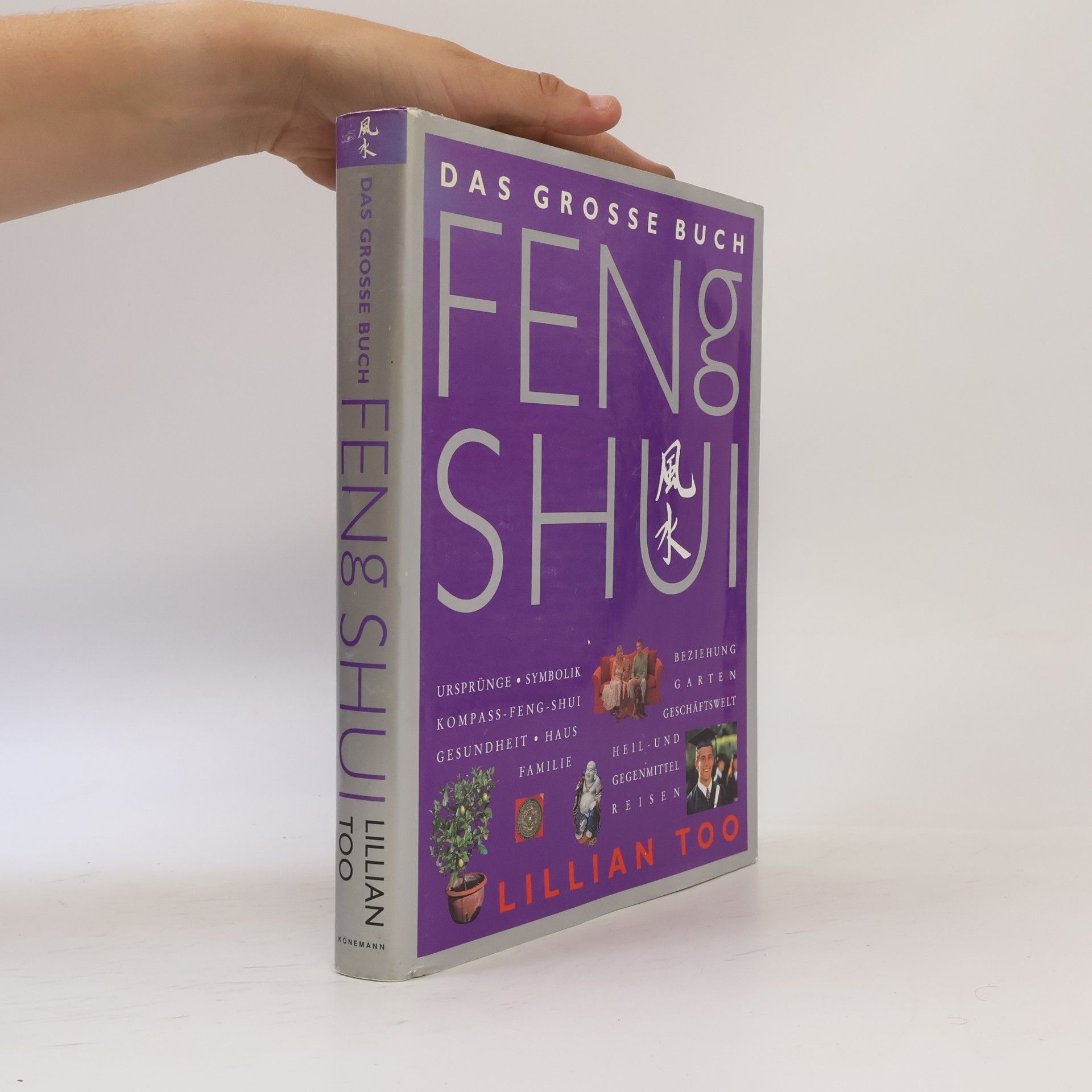 Lillian Too Das grosse Buch Feng Shui
