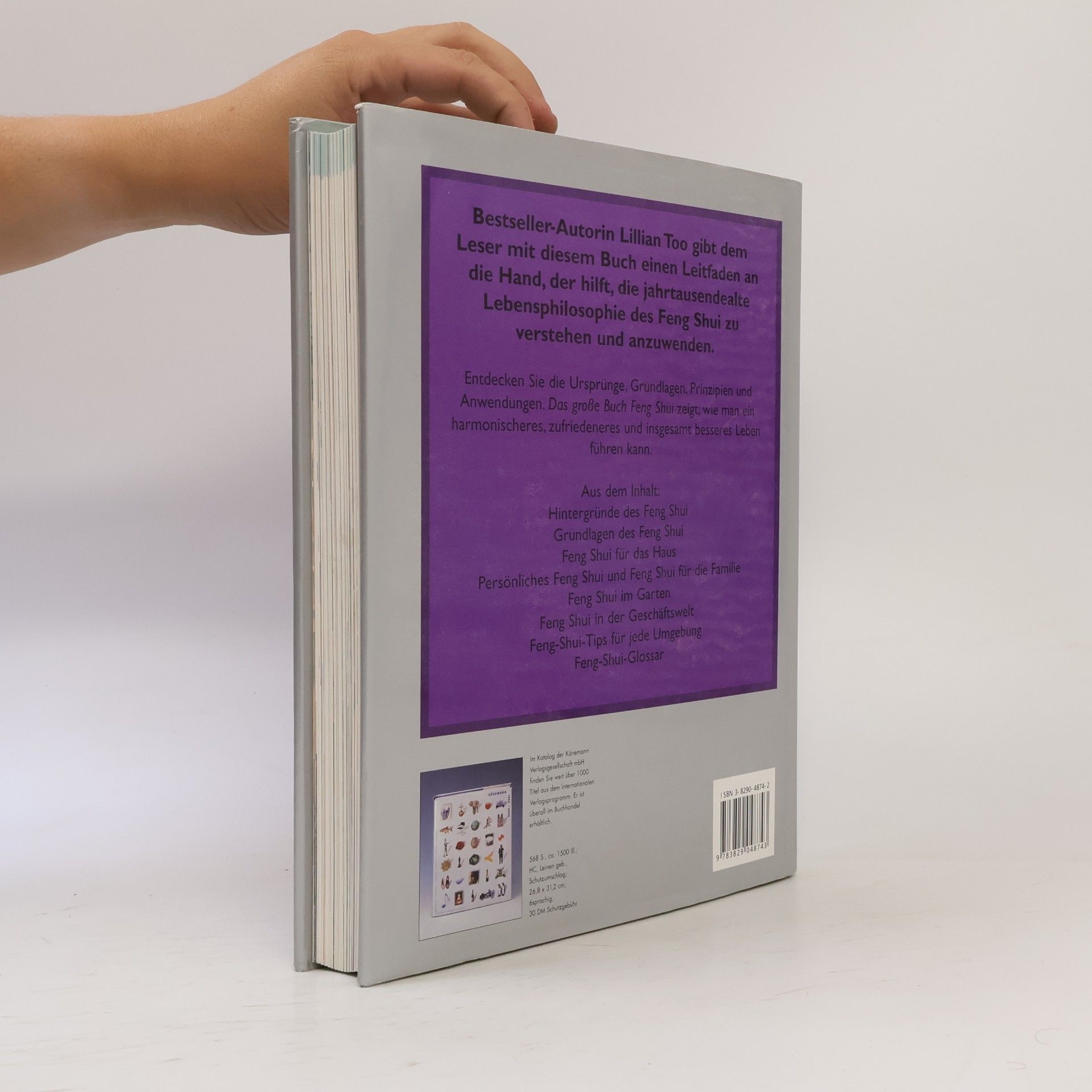Lillian Too Das grosse Buch Feng Shui