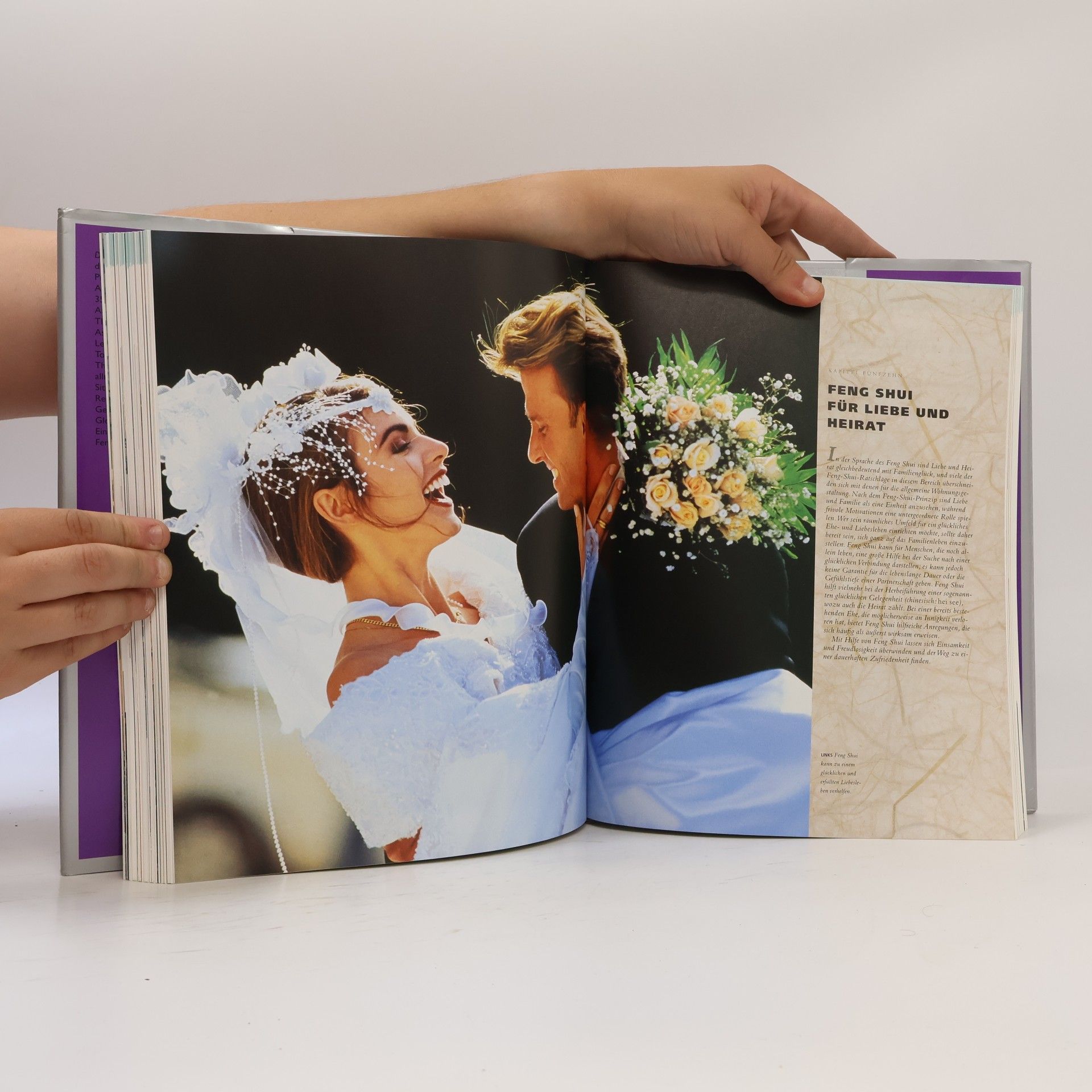 Lillian Too Das grosse Buch Feng Shui