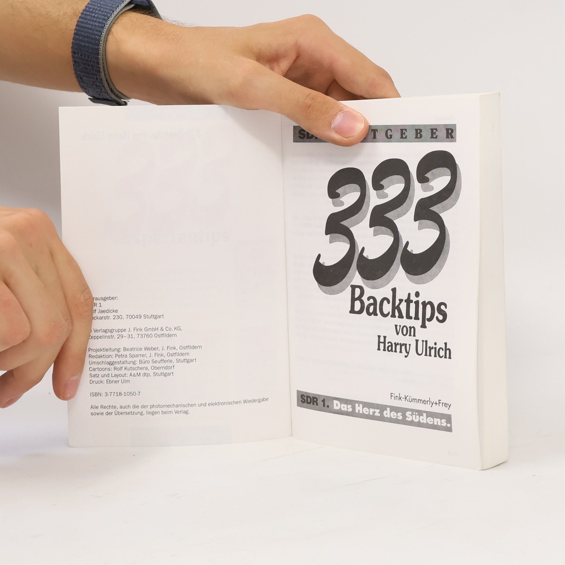 Harry Ulrich 333 Backtips