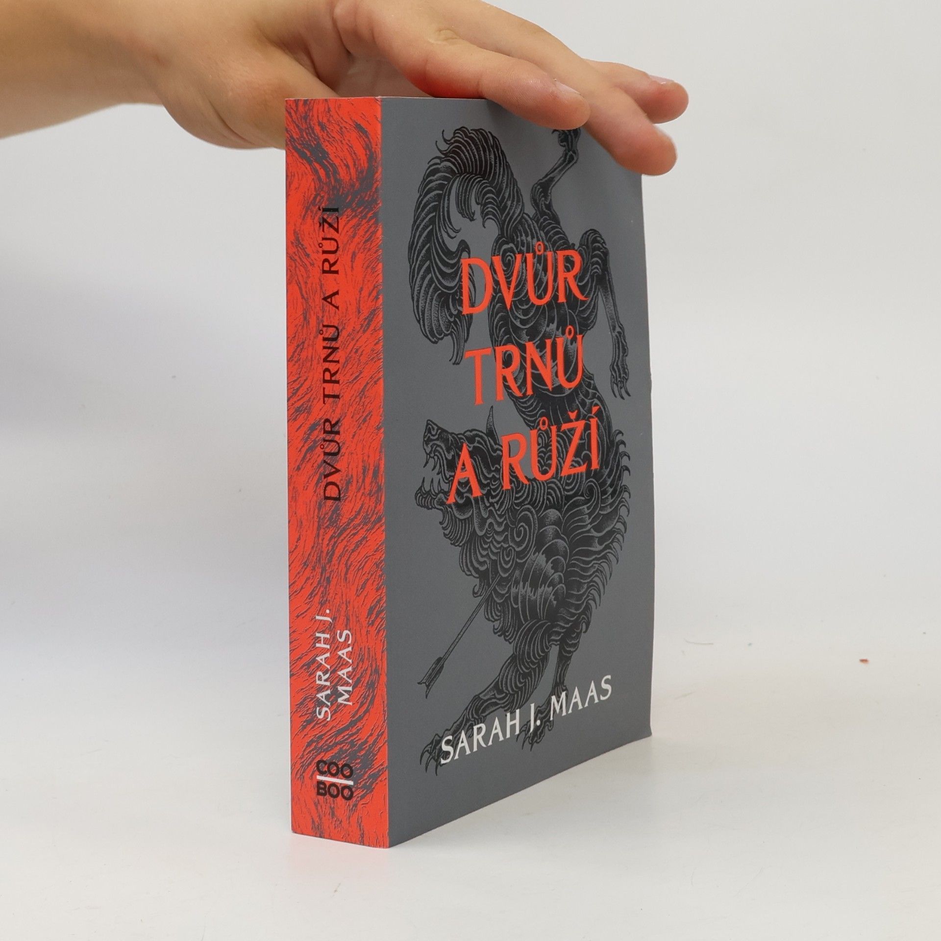 Sarah J. Maas Dvůr trnů a růží