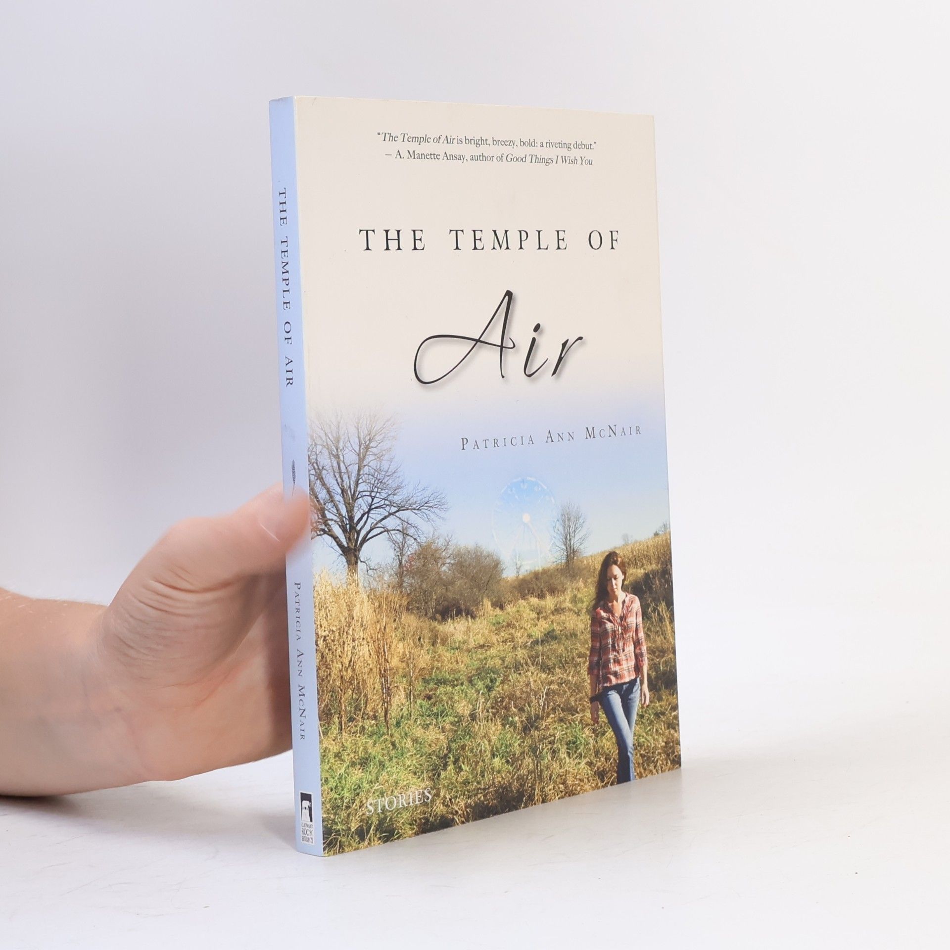 Patricia Ann McNair The Temple of Air