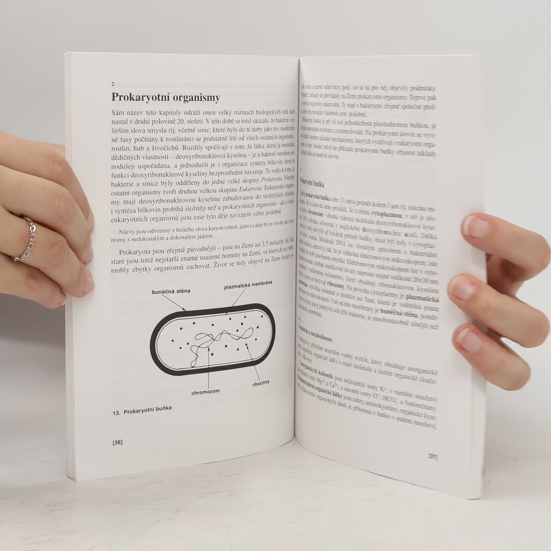 Václav Kubišta Obecná biologie. Úvodní učební text biologie pro 1. ročník gymnázií