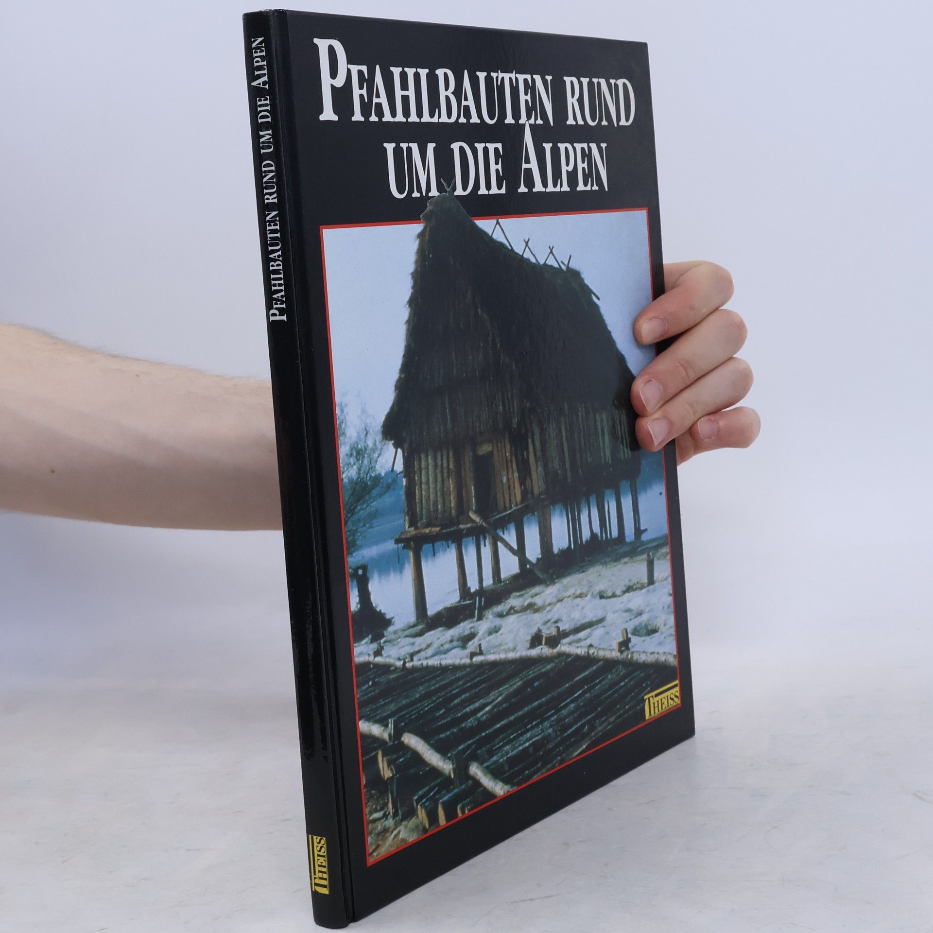 Helmut Schlichtherle Pfahlbauten rund um die Alpen