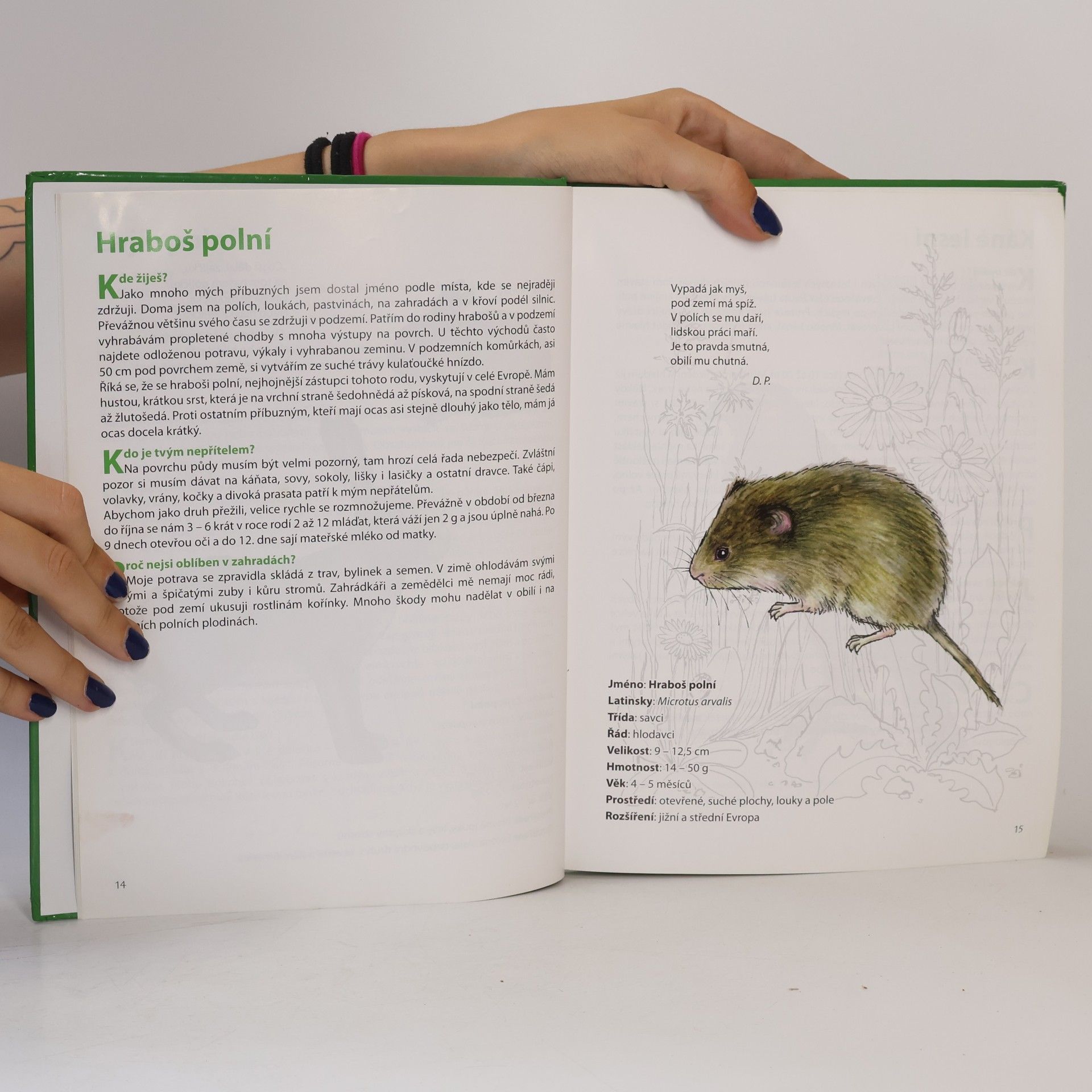 Silke Hentschel Obrázková zoologie