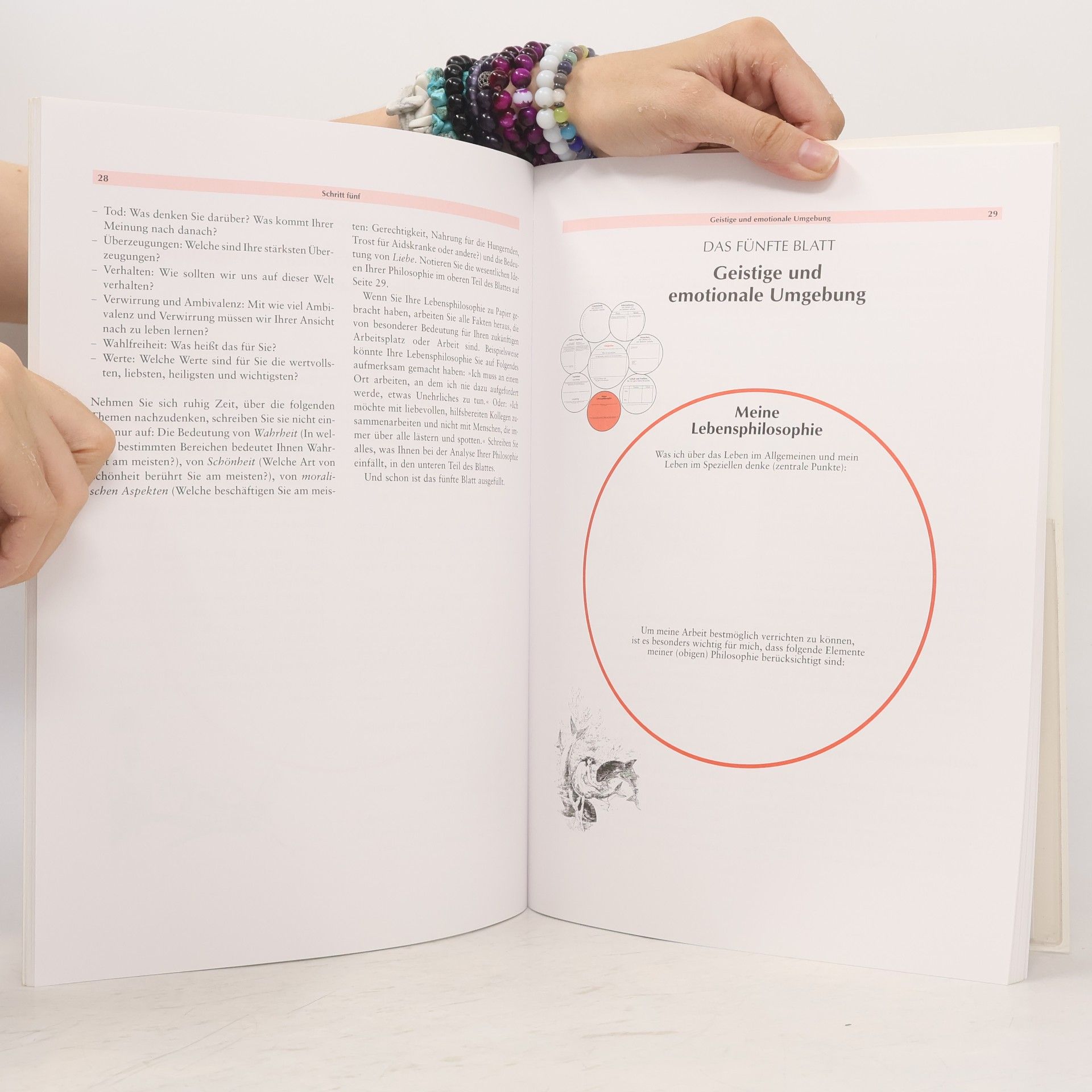 Richard Nelson Bolles Durchstarten zum Traumjob - Das Workbook