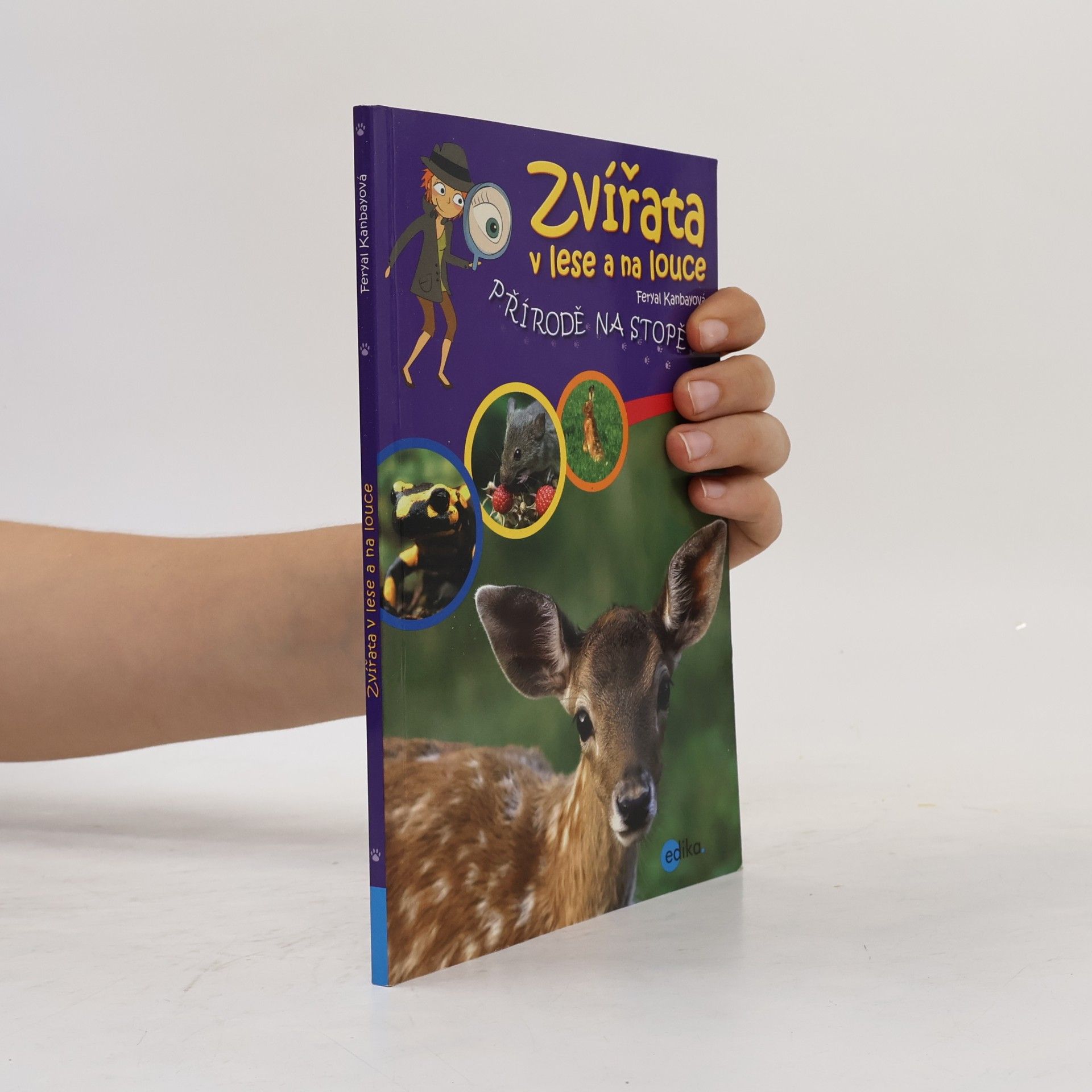 Feryal Kanbay Zvířata v lese a na louce