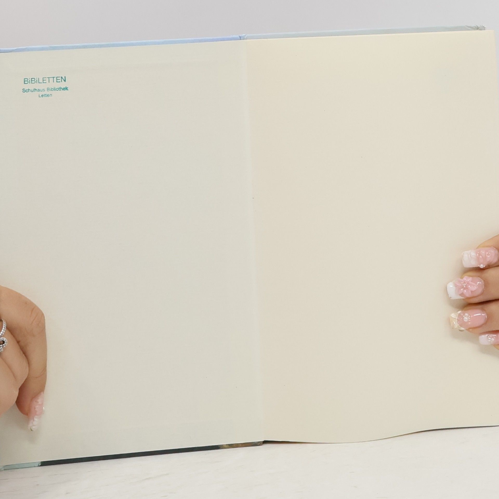 Joan Aiken Die Kinder von Holderness