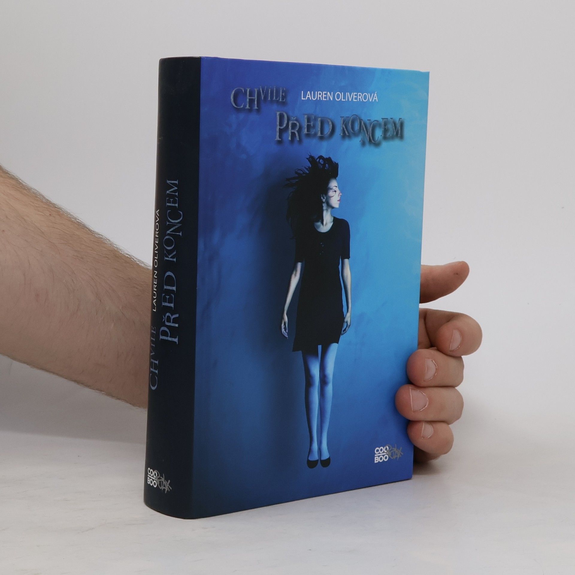 Lauren Oliver Chvíle před koncem