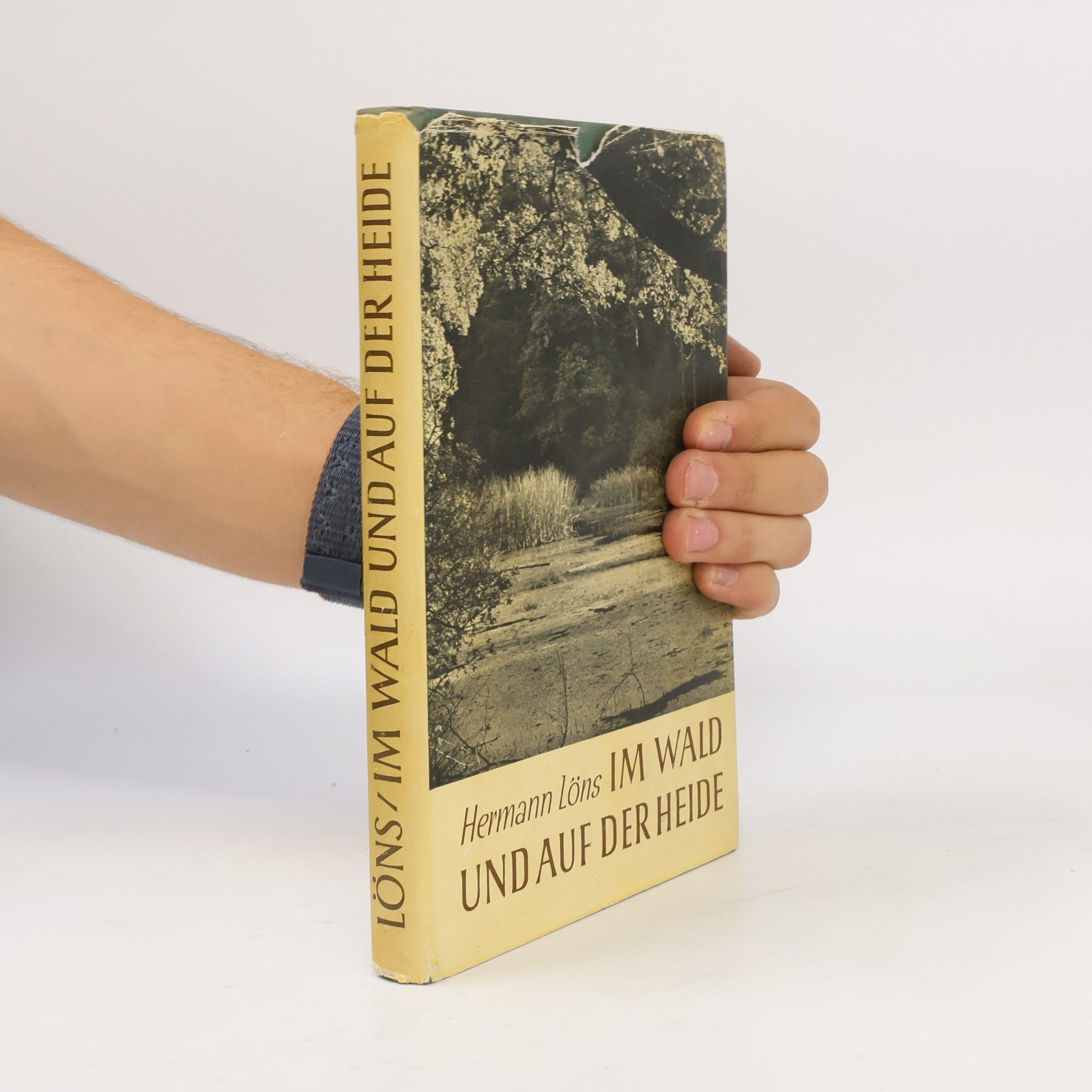 Hermann Löns Im Wald und auf der Heide