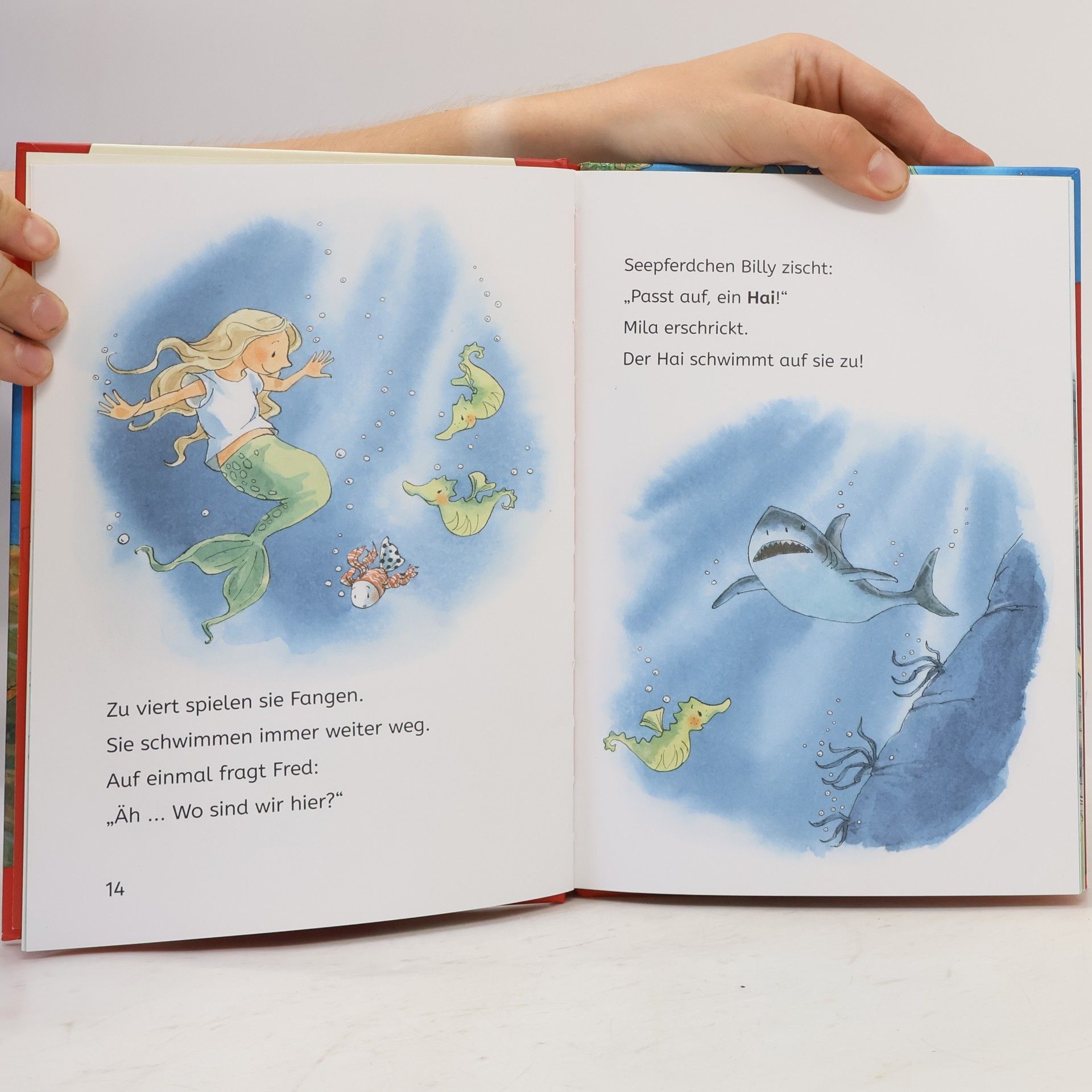Henriette Wich Leselöwen 1. Klasse - Das Meermädchen und der versunkene Schatz