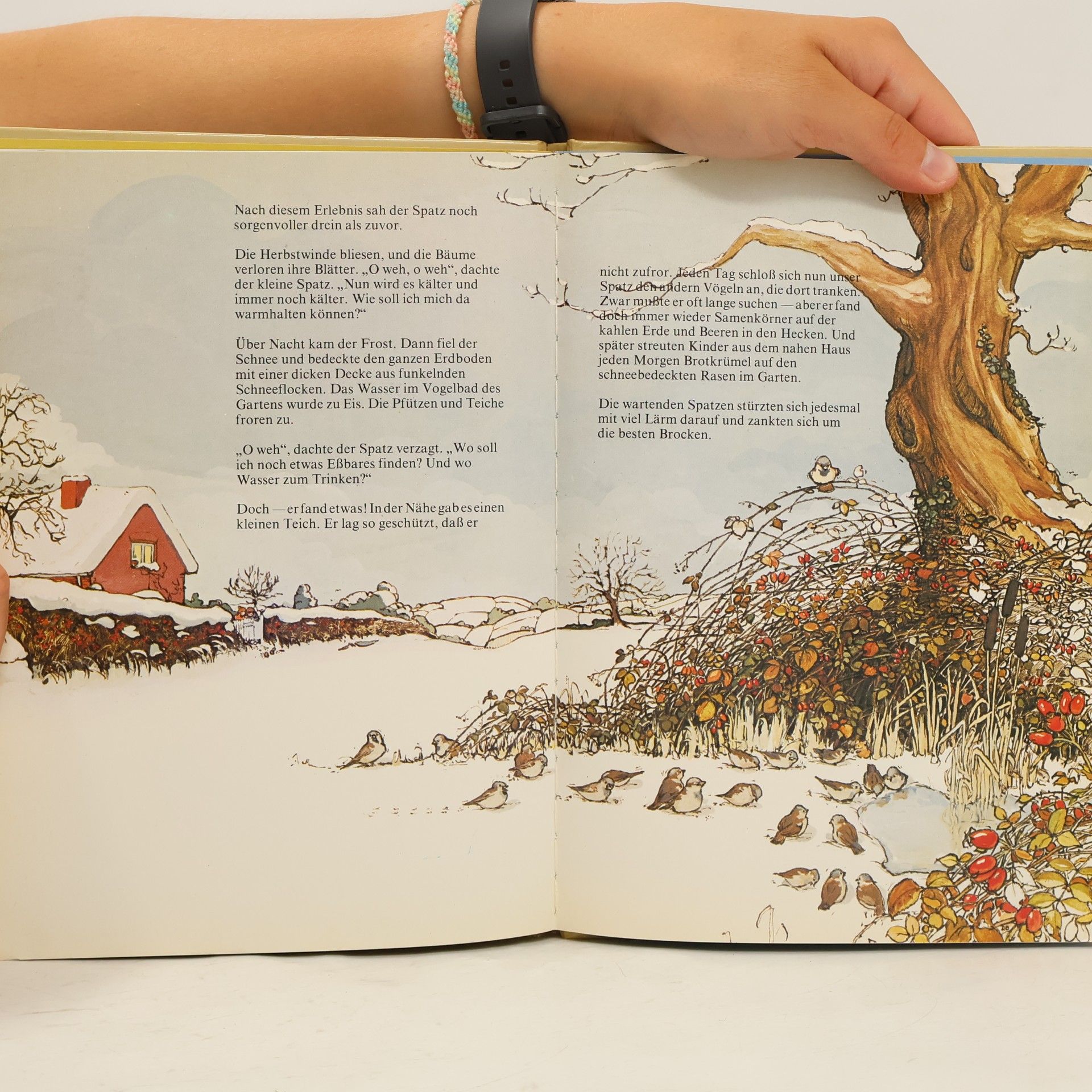 Various authors Der ängstliche kleine Spatz