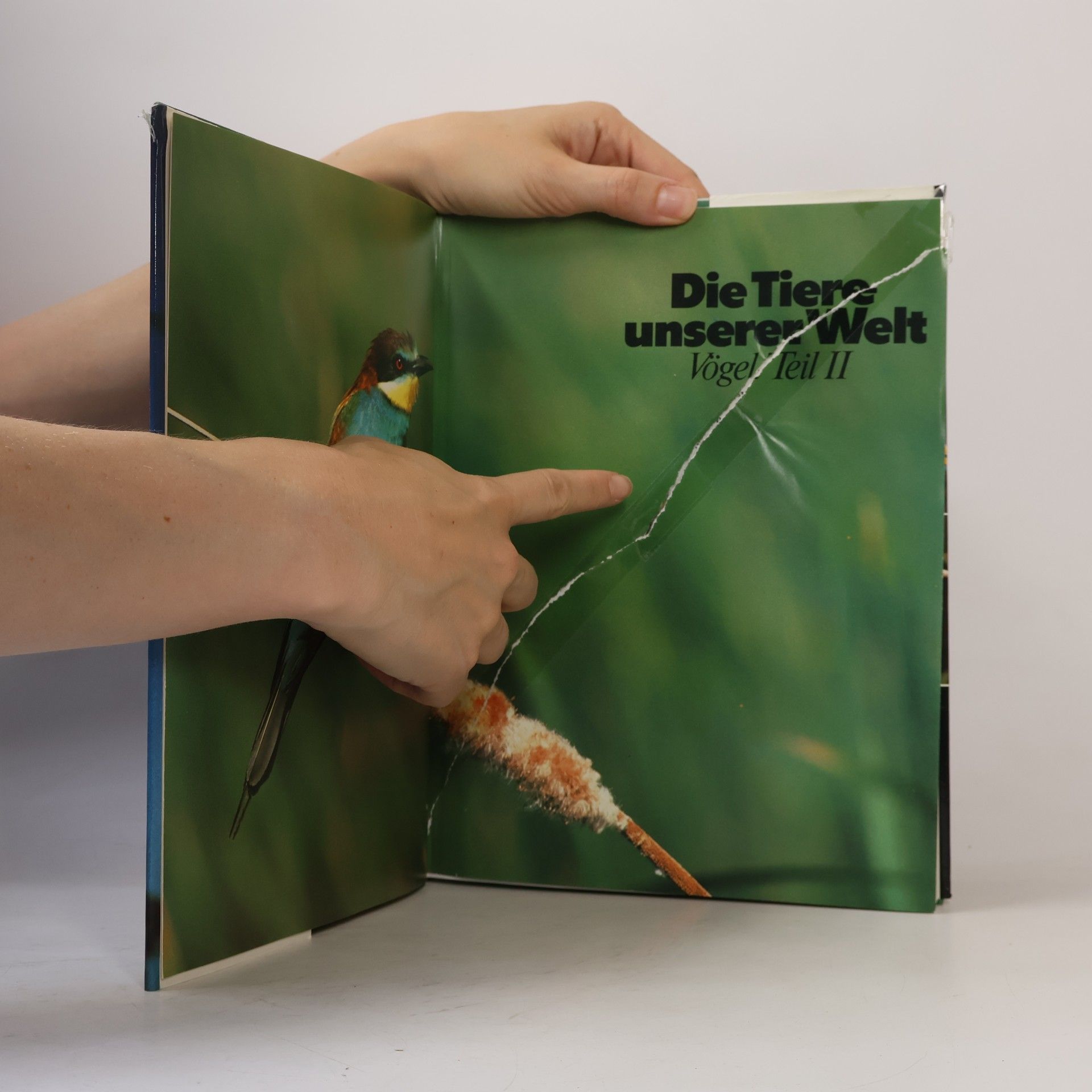 Kolektív autorov Die Tiere unserer Welt. Vögel Teil 2