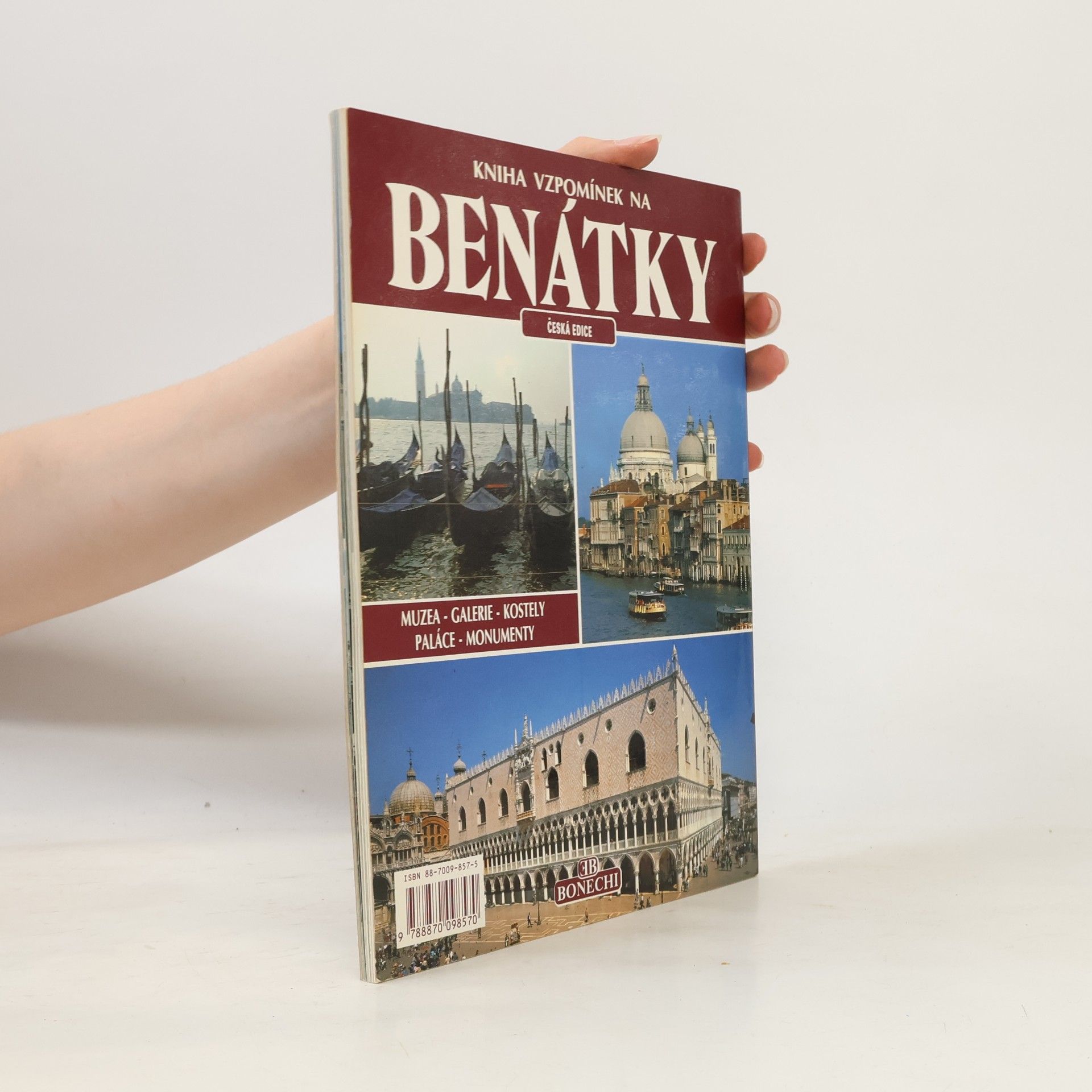 Františka Lopatová Senesi Kniha vzpomínek na Benátky