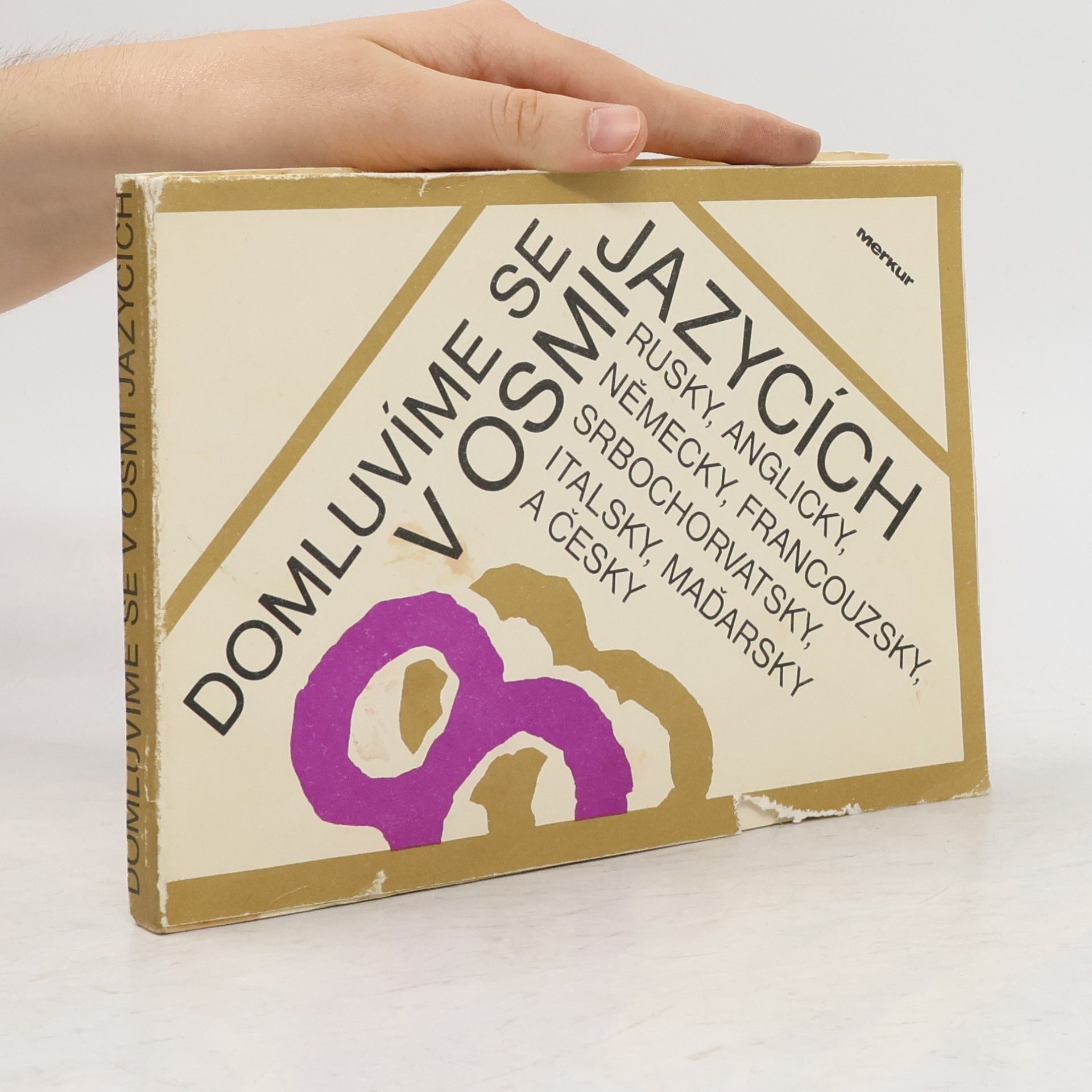 Jiří Kašpar Domluvíme se v osmi jazycích
