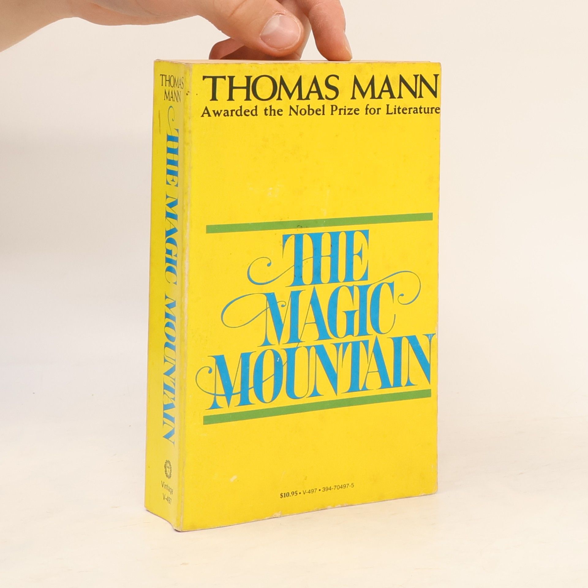 Thomas Mann The Magic Mountain
