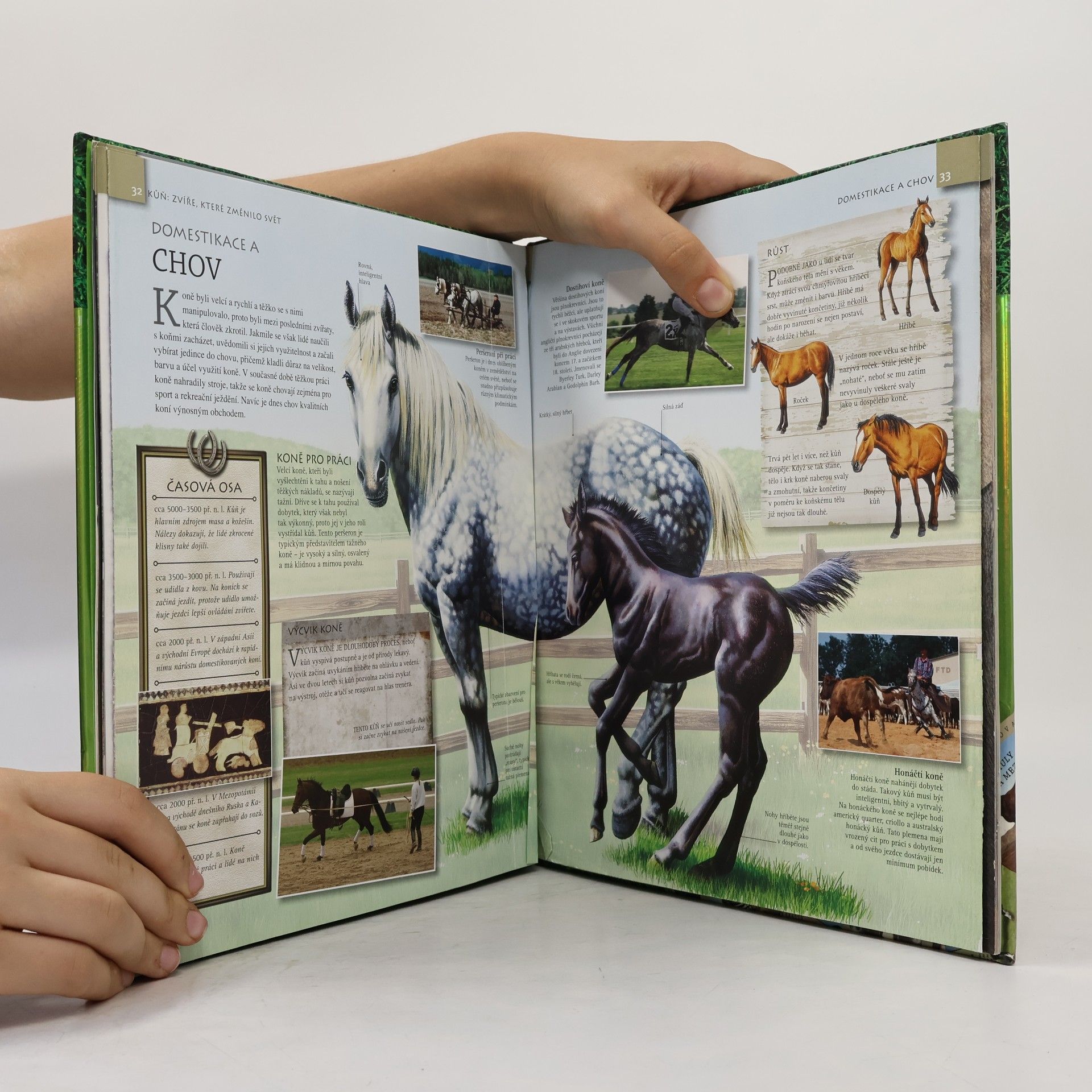 Autorenkollektiv Kůň : zvíře, které změnilo svět