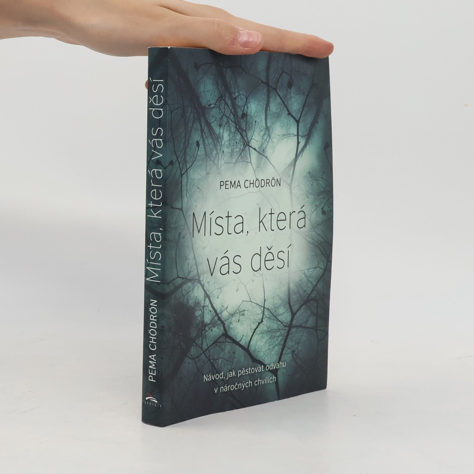 Pema Chödrön Místa, která vás děsí