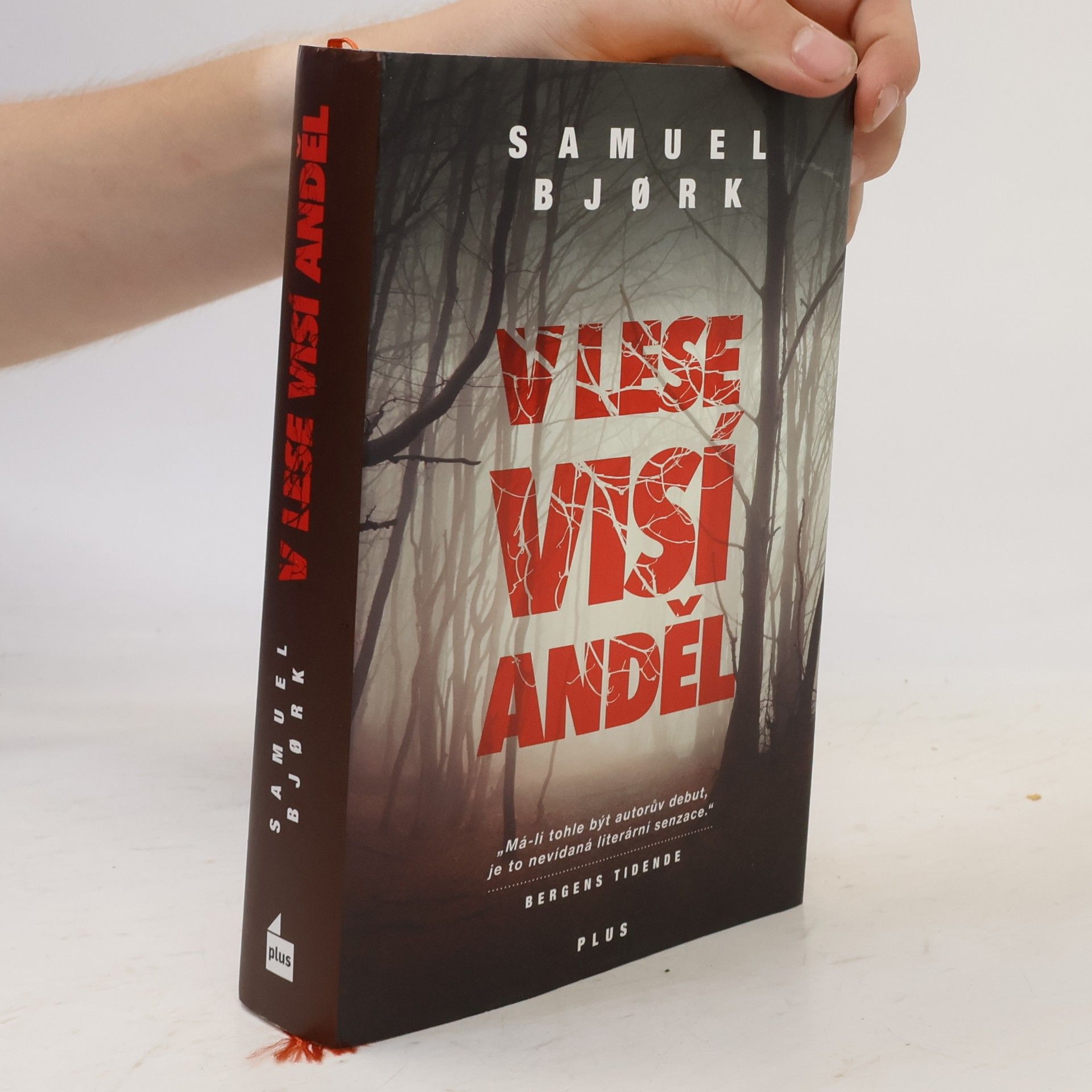 Samuel Bjork V lese visí anděl