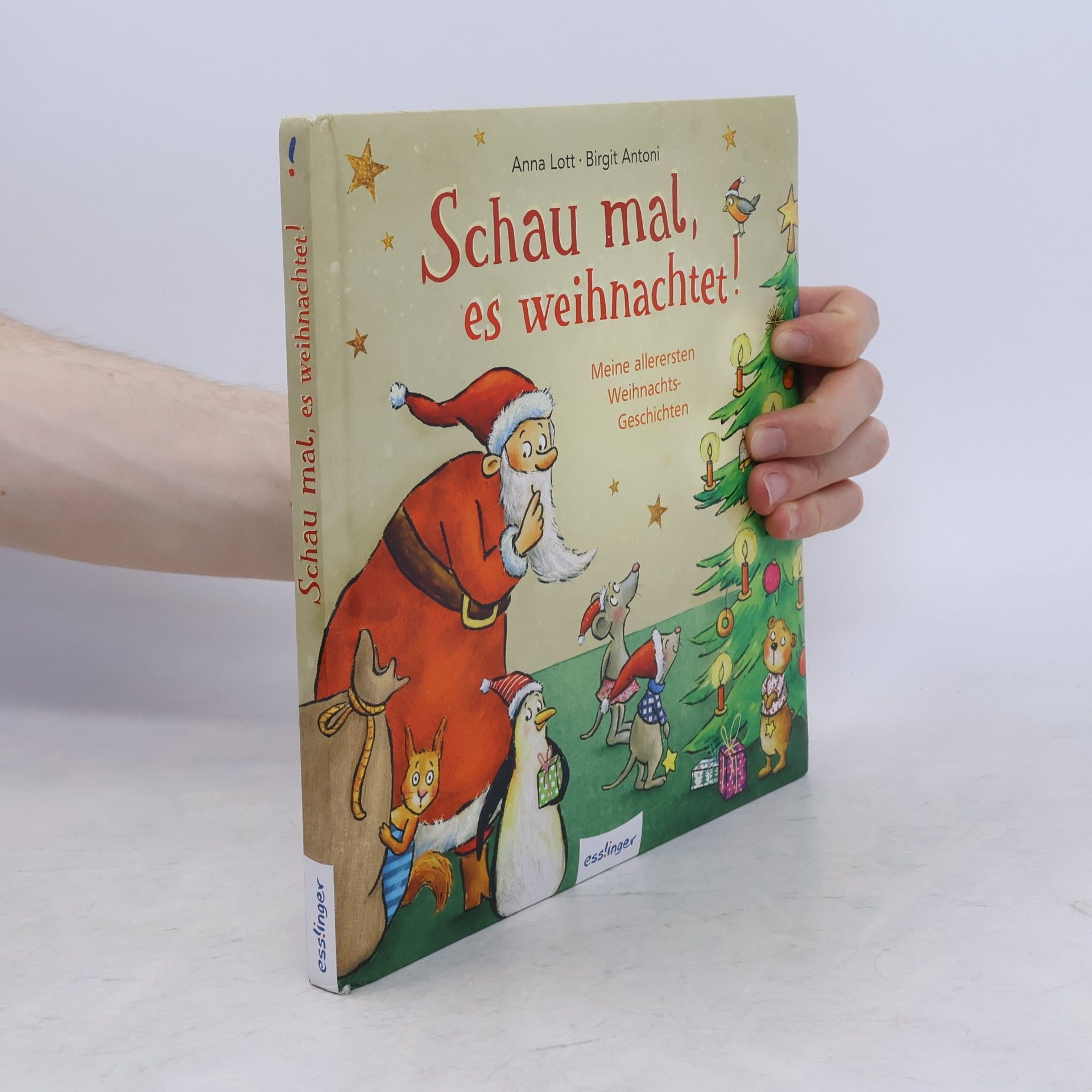 Anna Lott Schau mal, es weihnachtet!