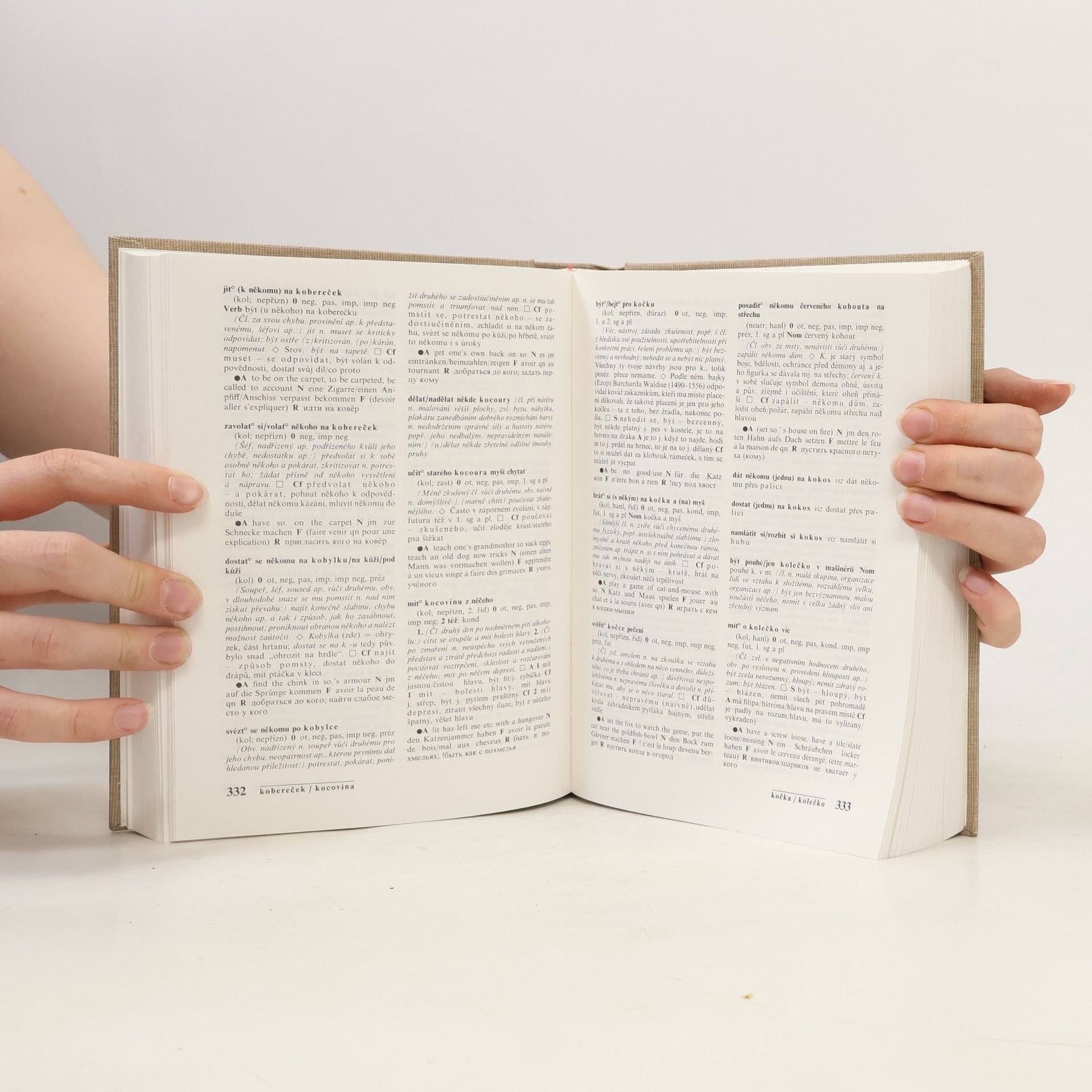 AA.VV. Slovník české frazeologie a idiomatiky. Výrazy slovesné. A-P