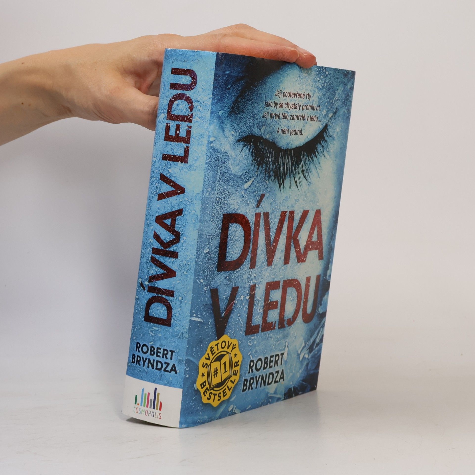 Robert Bryndza Dívka v ledu