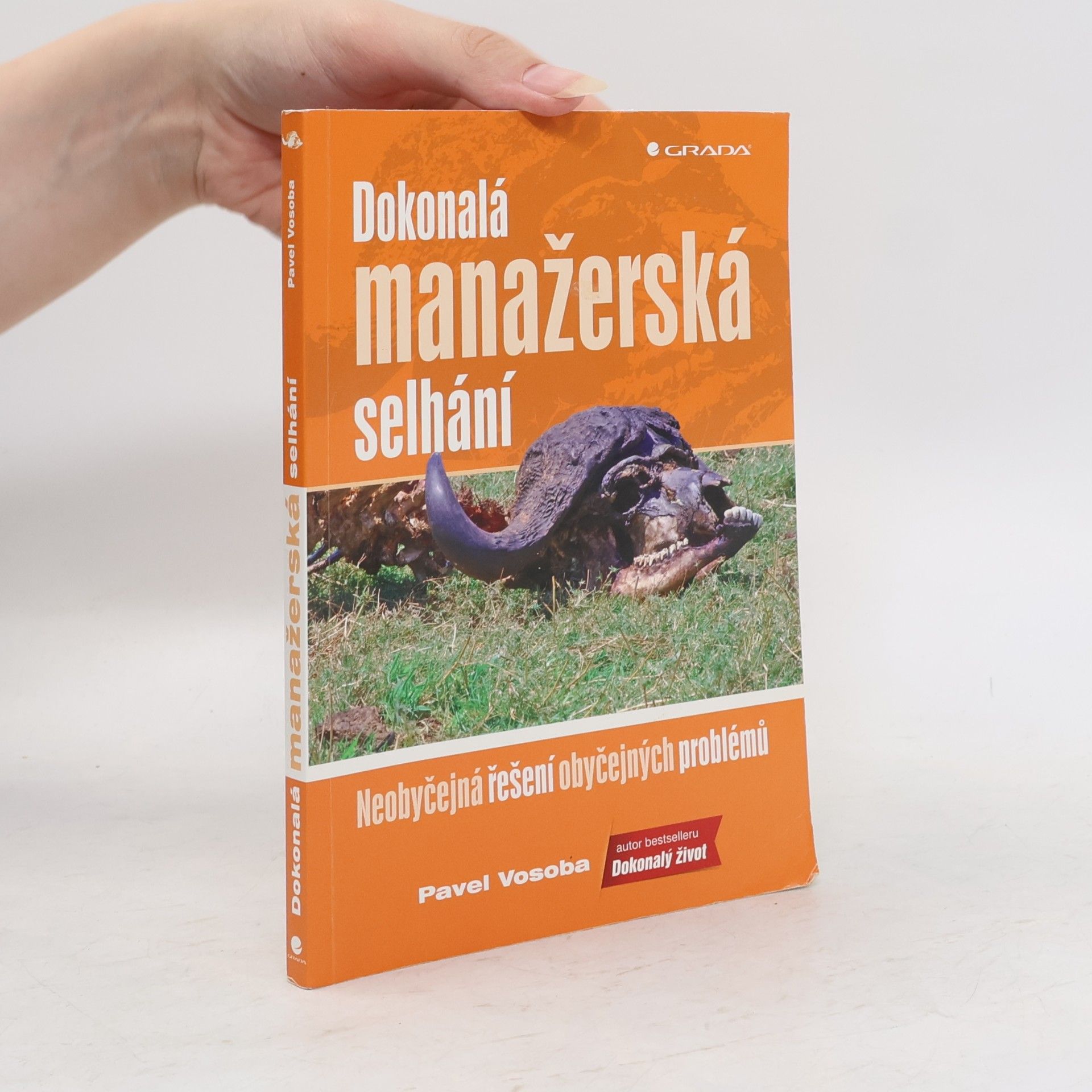 Dokonalá manažerská selhání : neobyčejná řešení obyčejných problémů