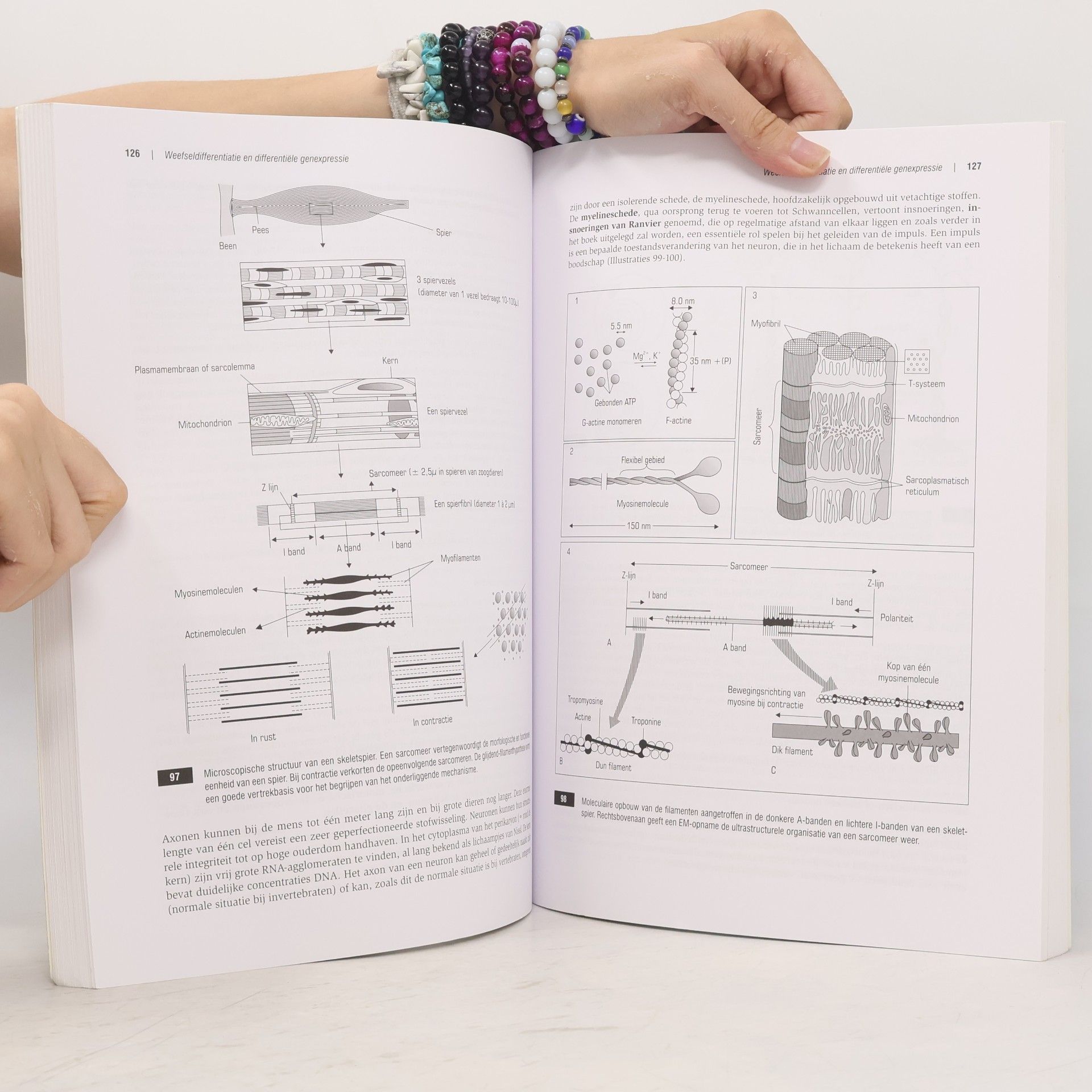 Roger Huybrechts Vergelijkende biologie voor de medische en biomedische wetenschappen