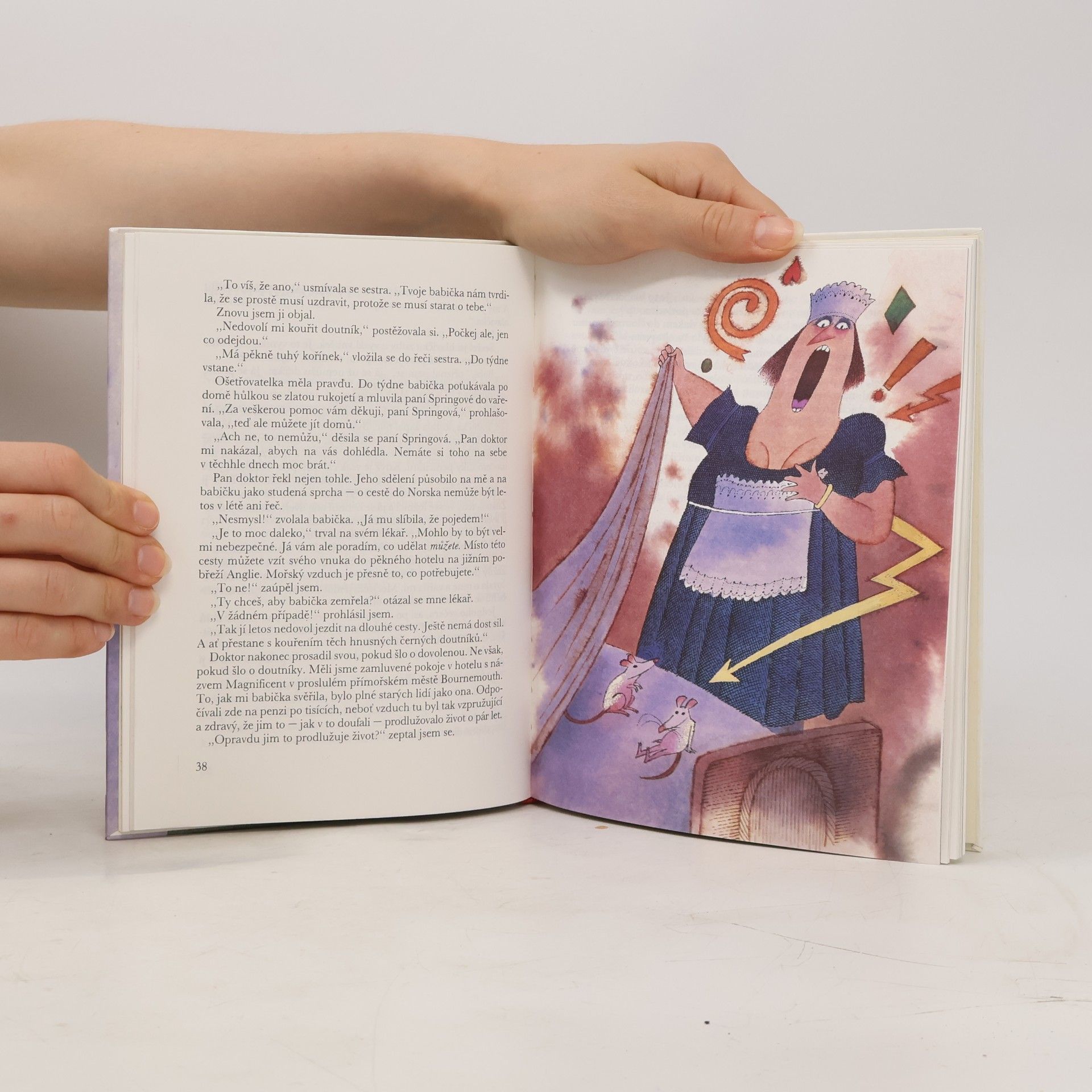 Roald Dahl Čarodějnice
