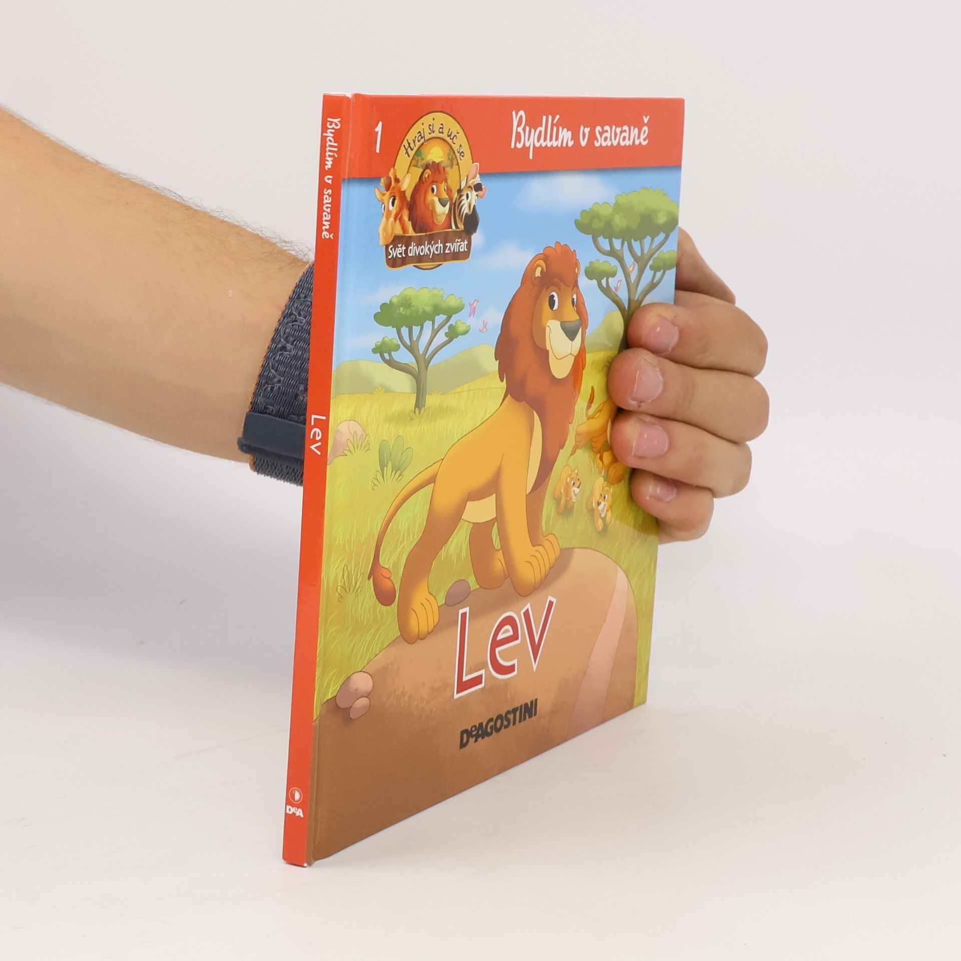Autorenkollektiv Bydlím v savaně 1. Lev