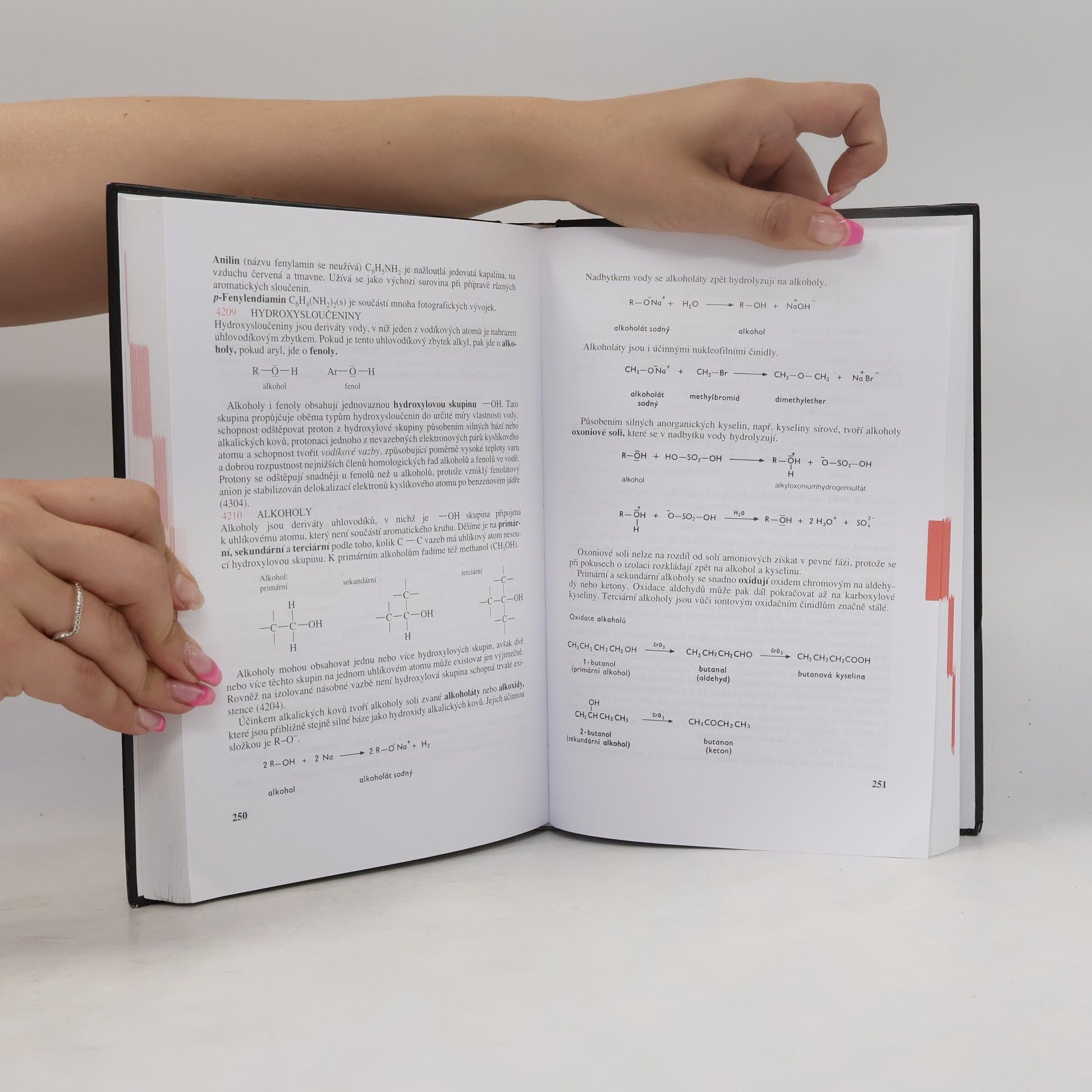 Autorenkollektiv Přehled středoškolské chemie