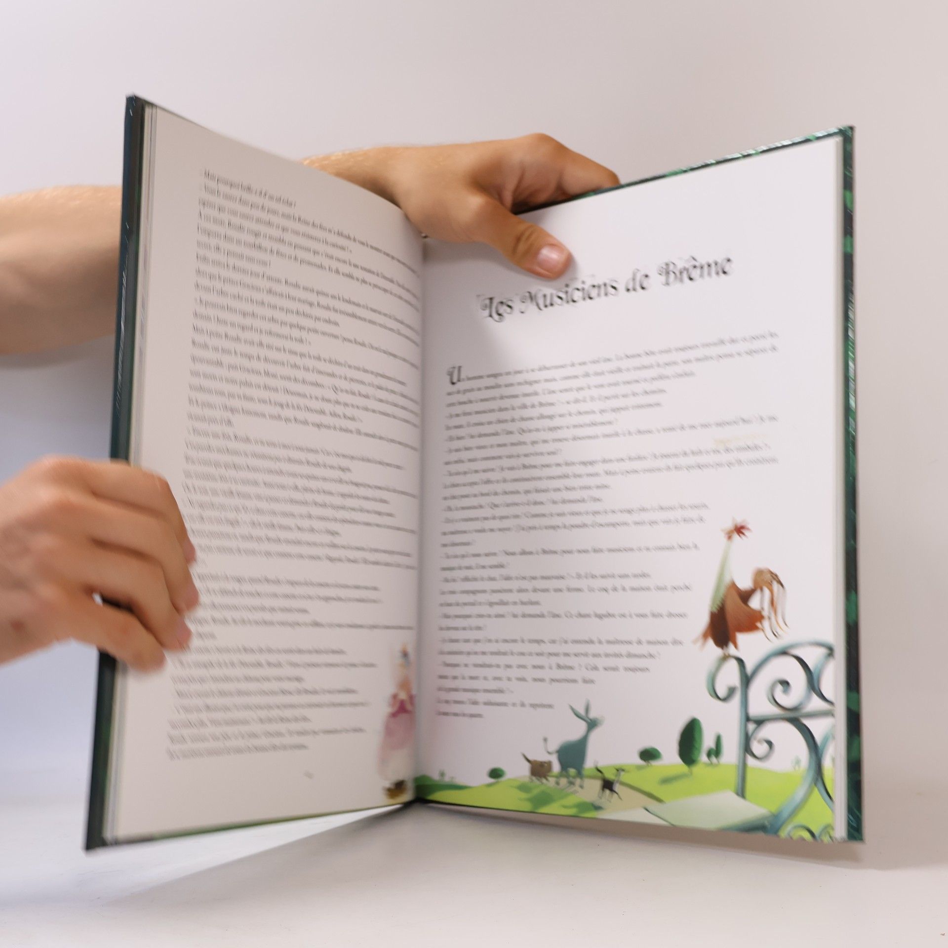 Anne Lanoë Merveilleux contes de mon enfance