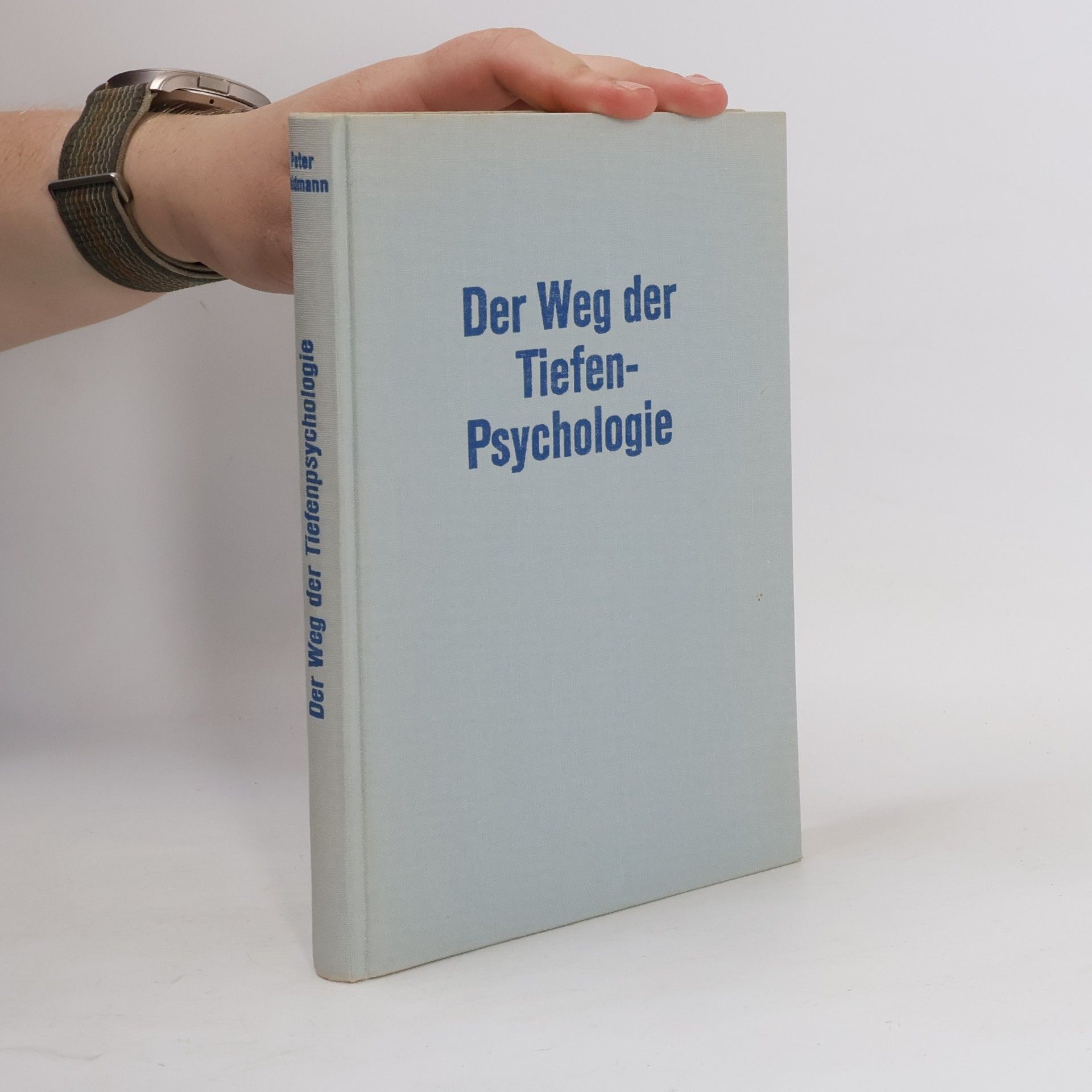 Peter Seidmann Der Weg der Tiefenpsychologie