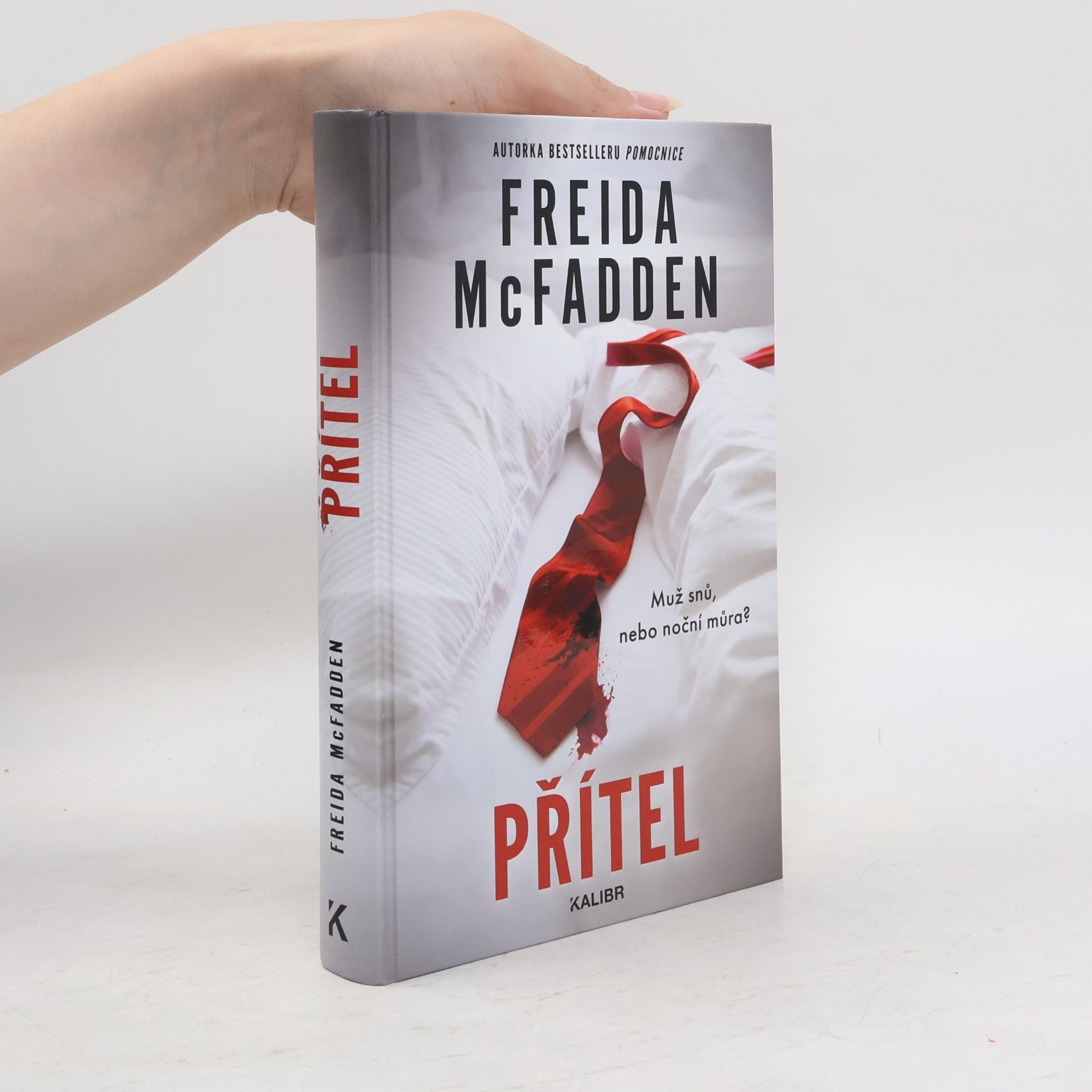 Freida McFadden Přítel