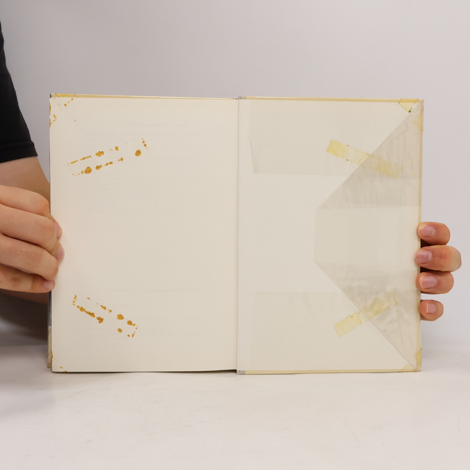 Wilfried Kuhn Physik II