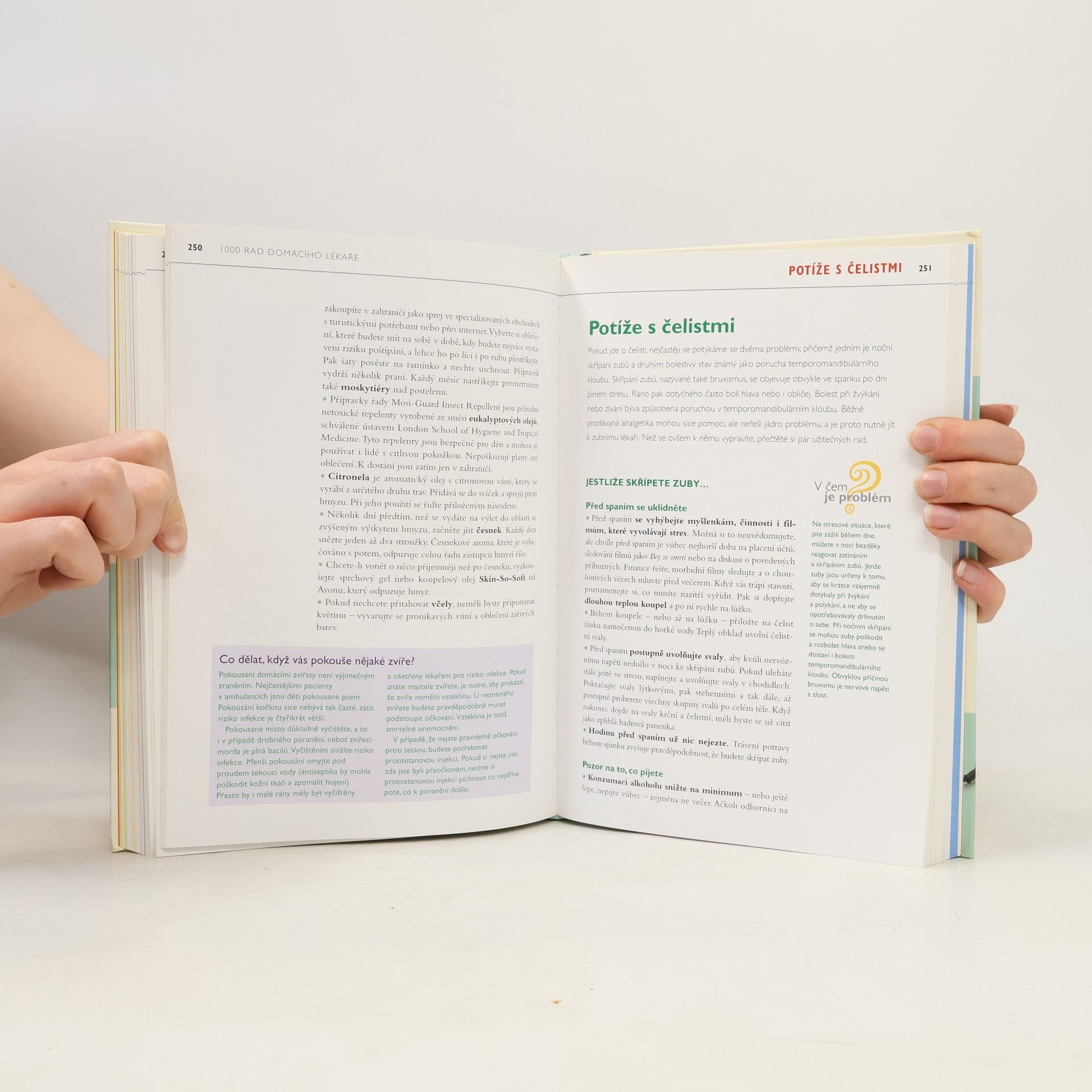 Autorenkollektiv 1000 rad domácího lékaře. Ověřené způsoby léčení běžných zdravotních obtíží