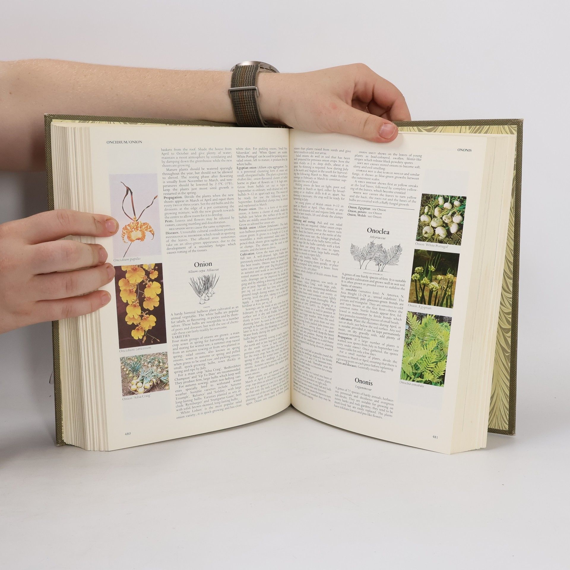 Roy Hay Reader's Digest Encyclopaedia of Garden Plants and Flowers