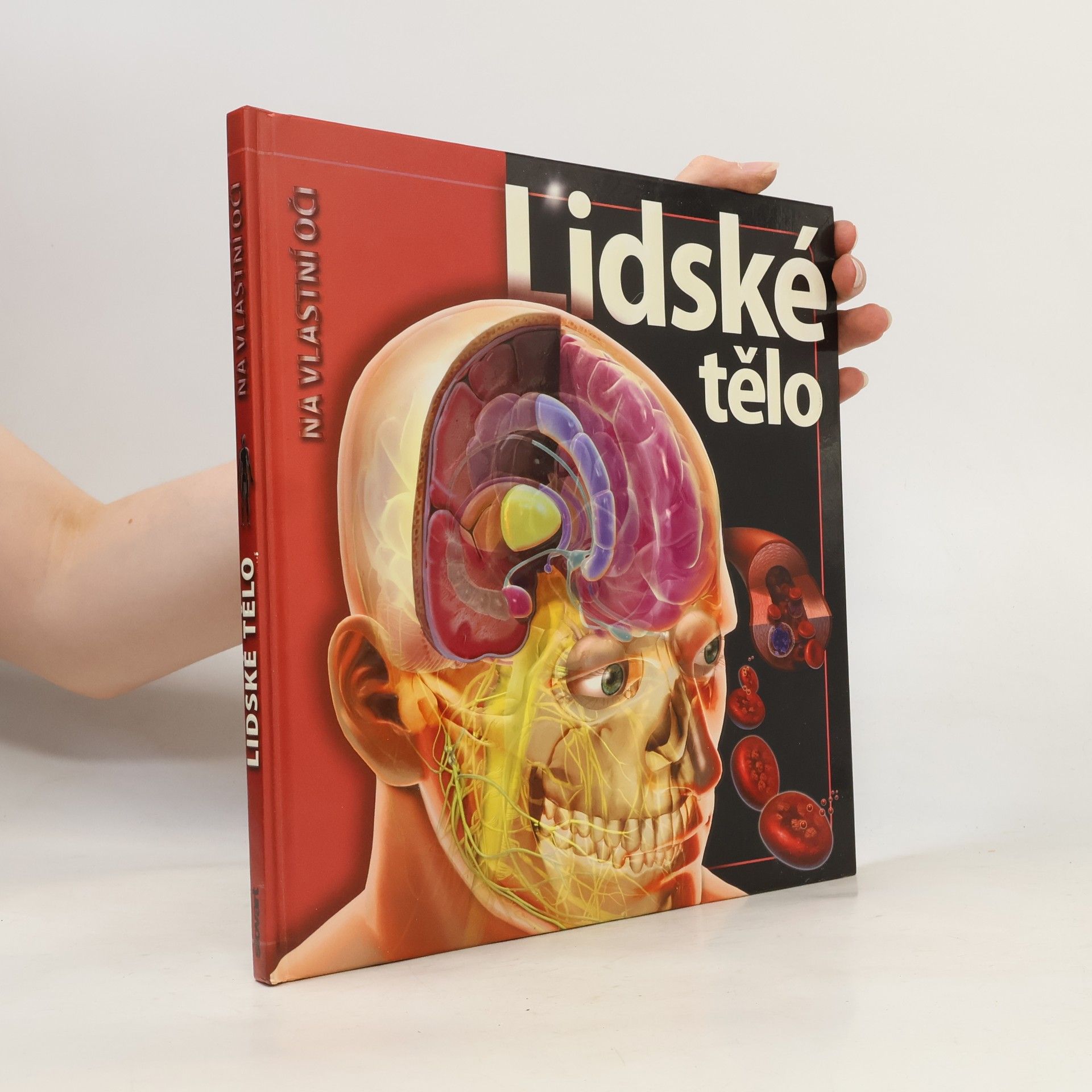 Linda Calabresi Lidské tělo
