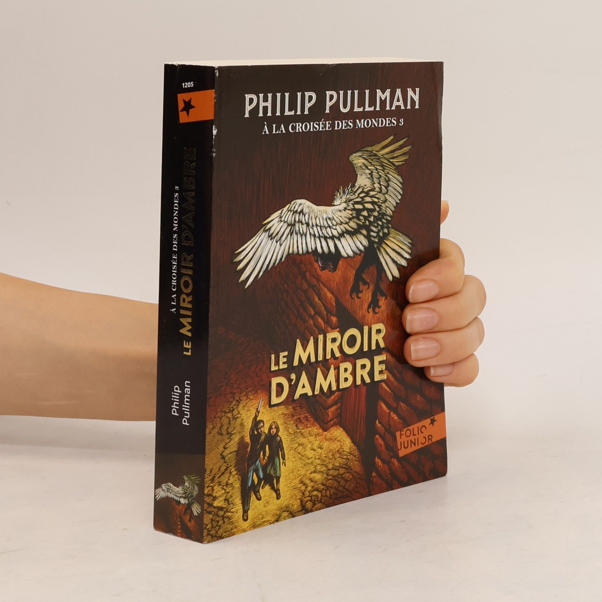 Philip Pullman Le Miroir d'ambre