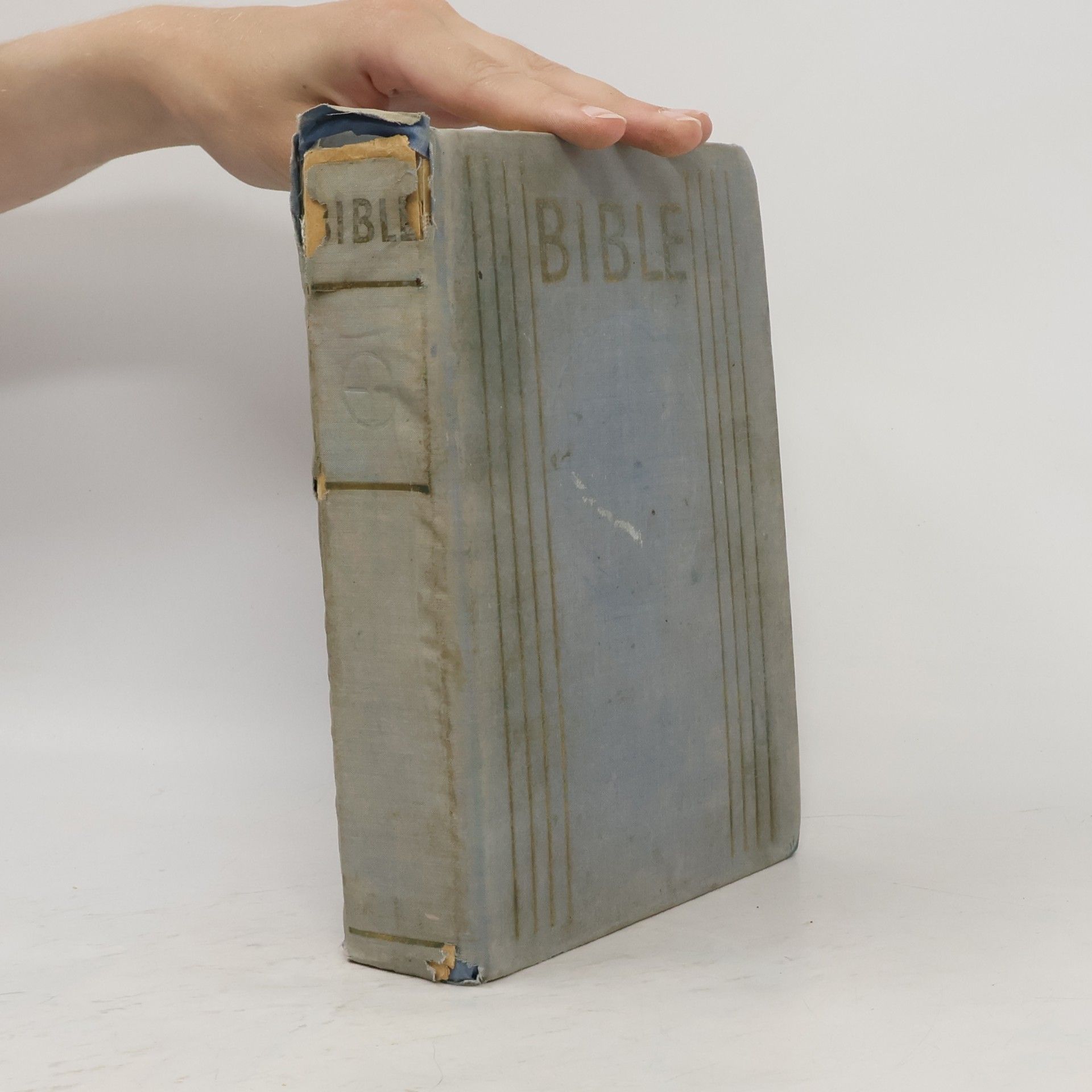 Auteurscollectief Bible. Písmo svaté Starého a Nového zákona